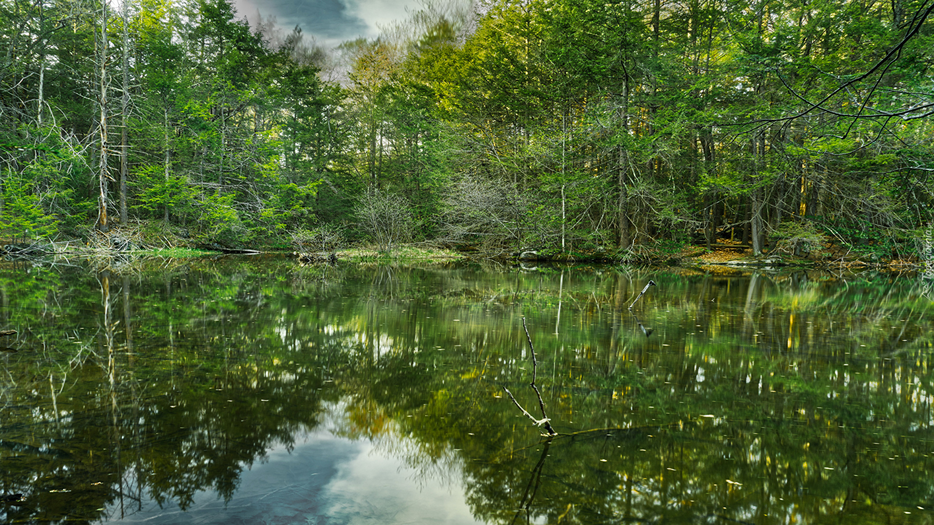 Rezerwat przyrody Roaring Brook Nature Center, Miejscowość Canton, Stan Connecticut, Stany Zjednoczone, Las, Jezioro, Odbicie