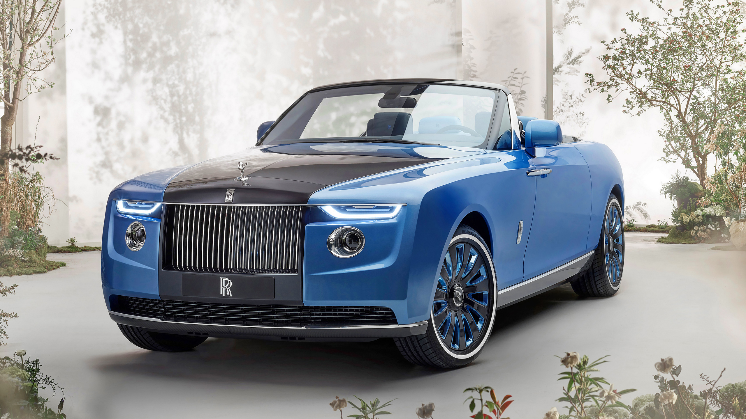 Błękitny, Rolls-Royce Boat Tail, Kabriolet