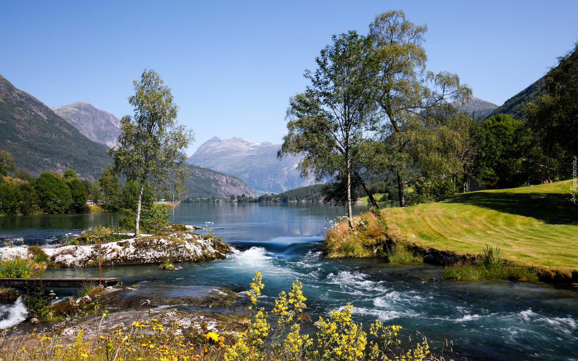 Góry, Drzewa, Kamienie, Rzeka Stryneelva, Gmina Stryn, Norwegia