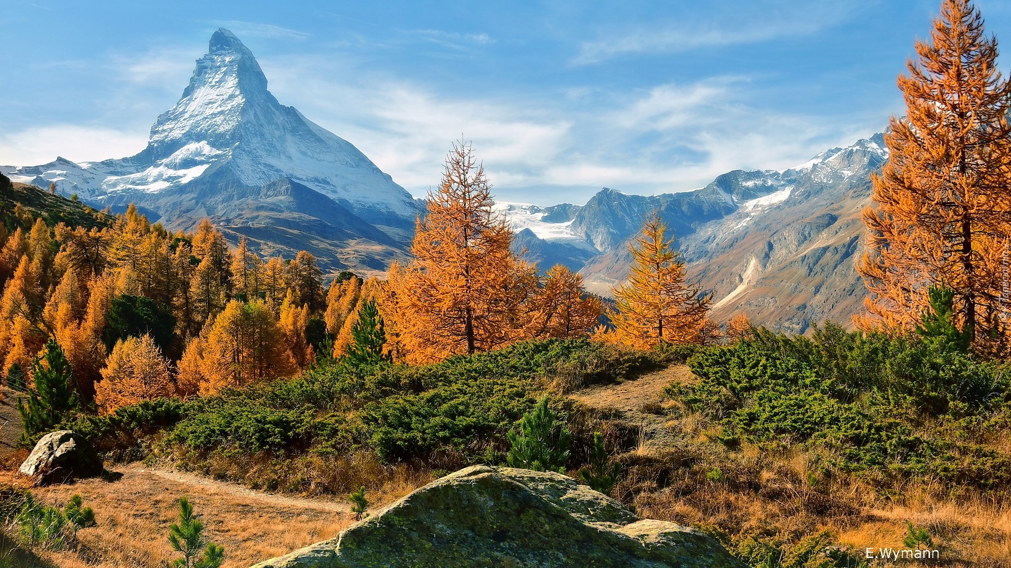 Szwajcaria, Góra, Alpy Penińskie, Szczyt, Matterhorn, Drzewa, Żółte, Modrzewie, Rośliny