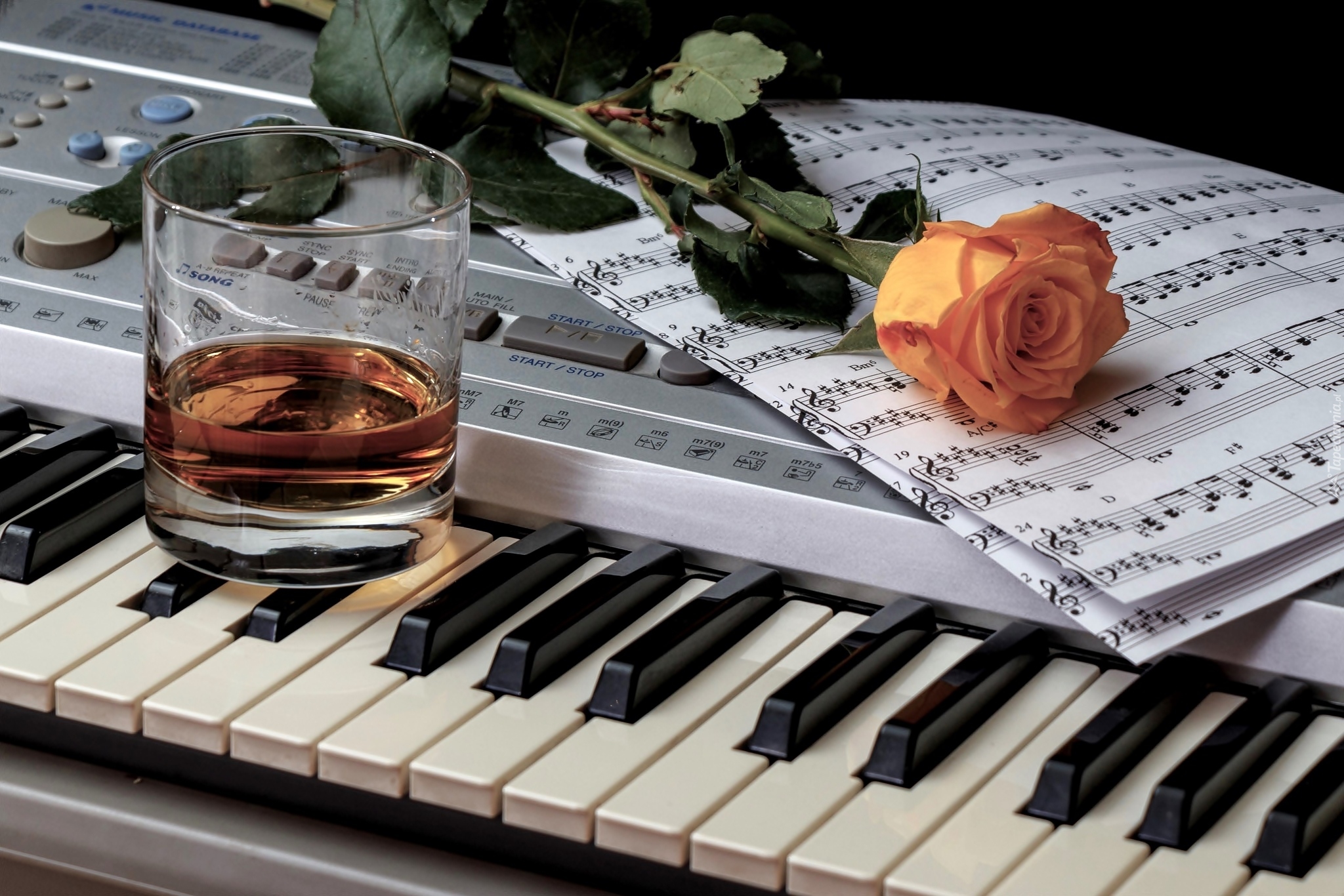 Herbaciana, Róża, Nuty, Szklanka, Instrument muzyczny, Keyboard