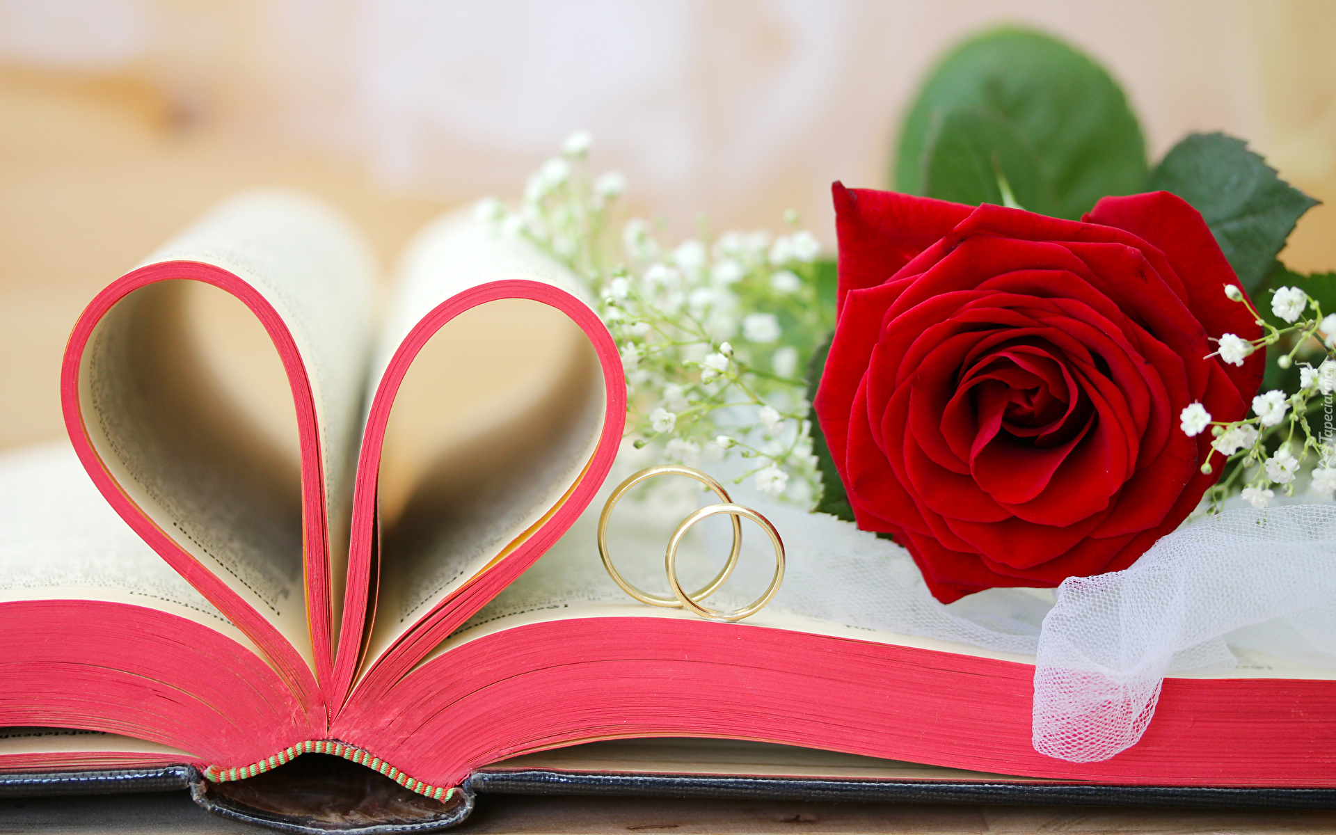 Książka, Róża, Obrączki, Miłosne, Ślub