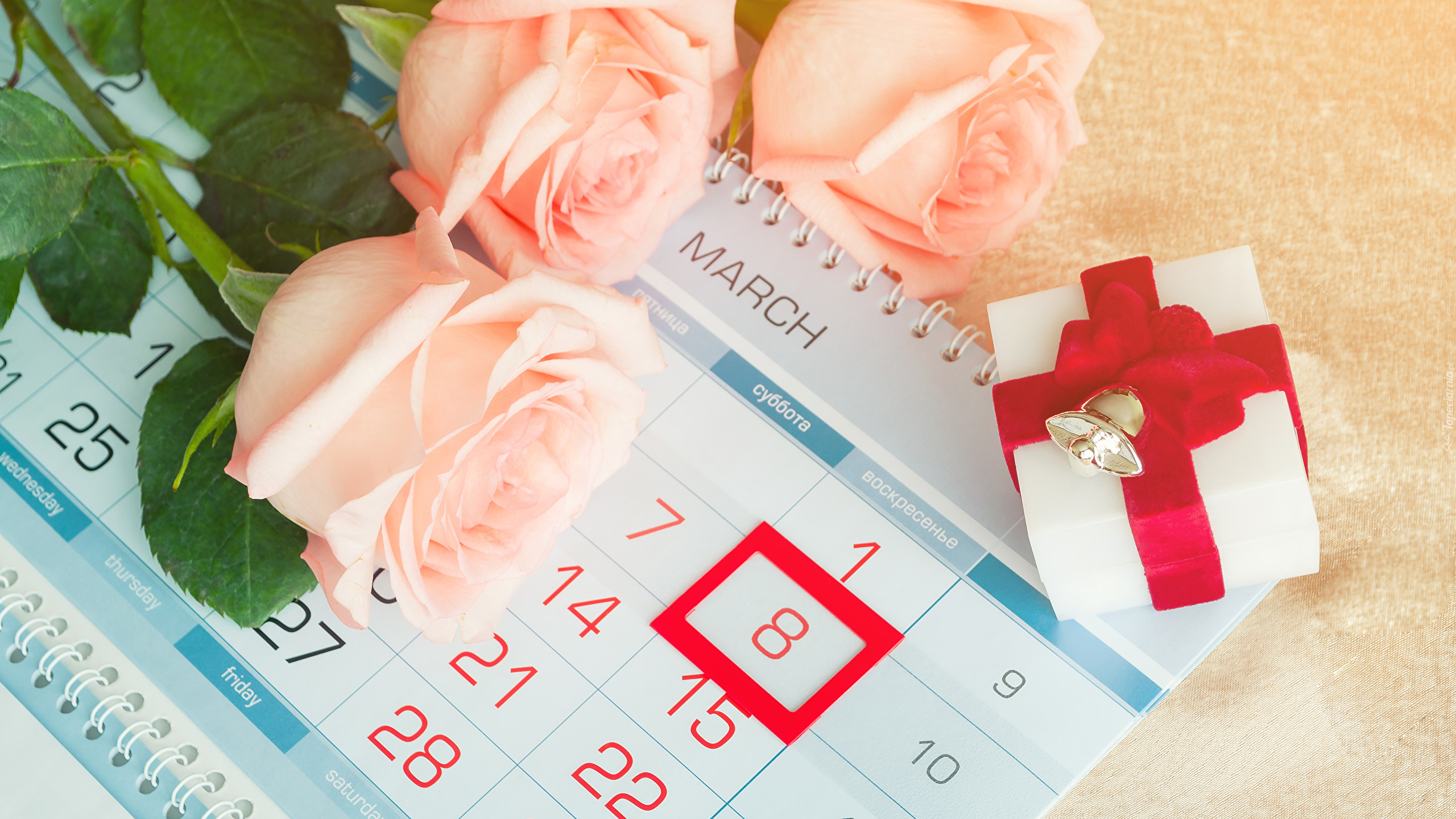 Dzień kobiet, Bukiet, Trzy, Róże, Kalendarz, Prezent