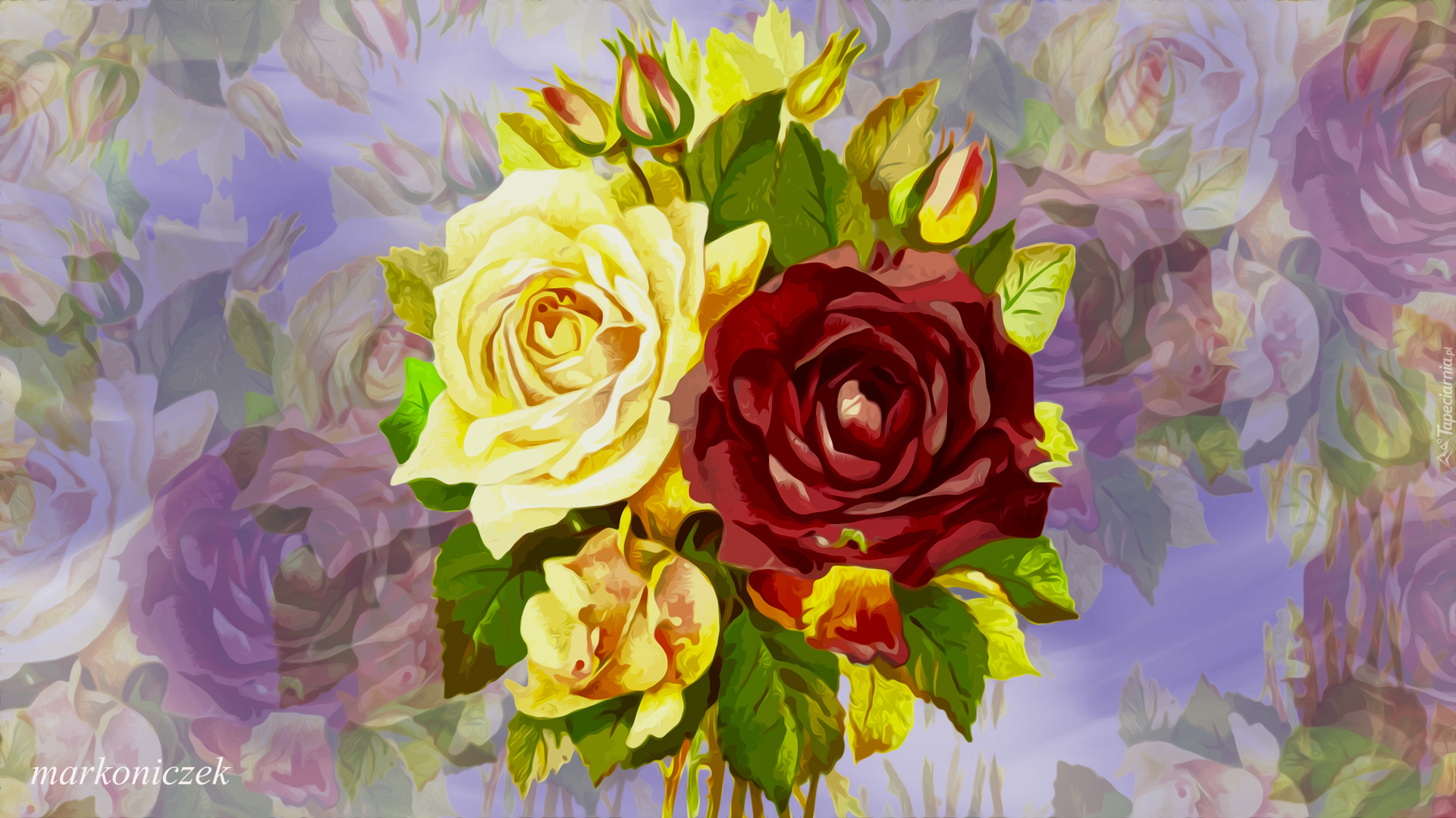 Kwiaty, Róże, 2D, Kolorowe tło