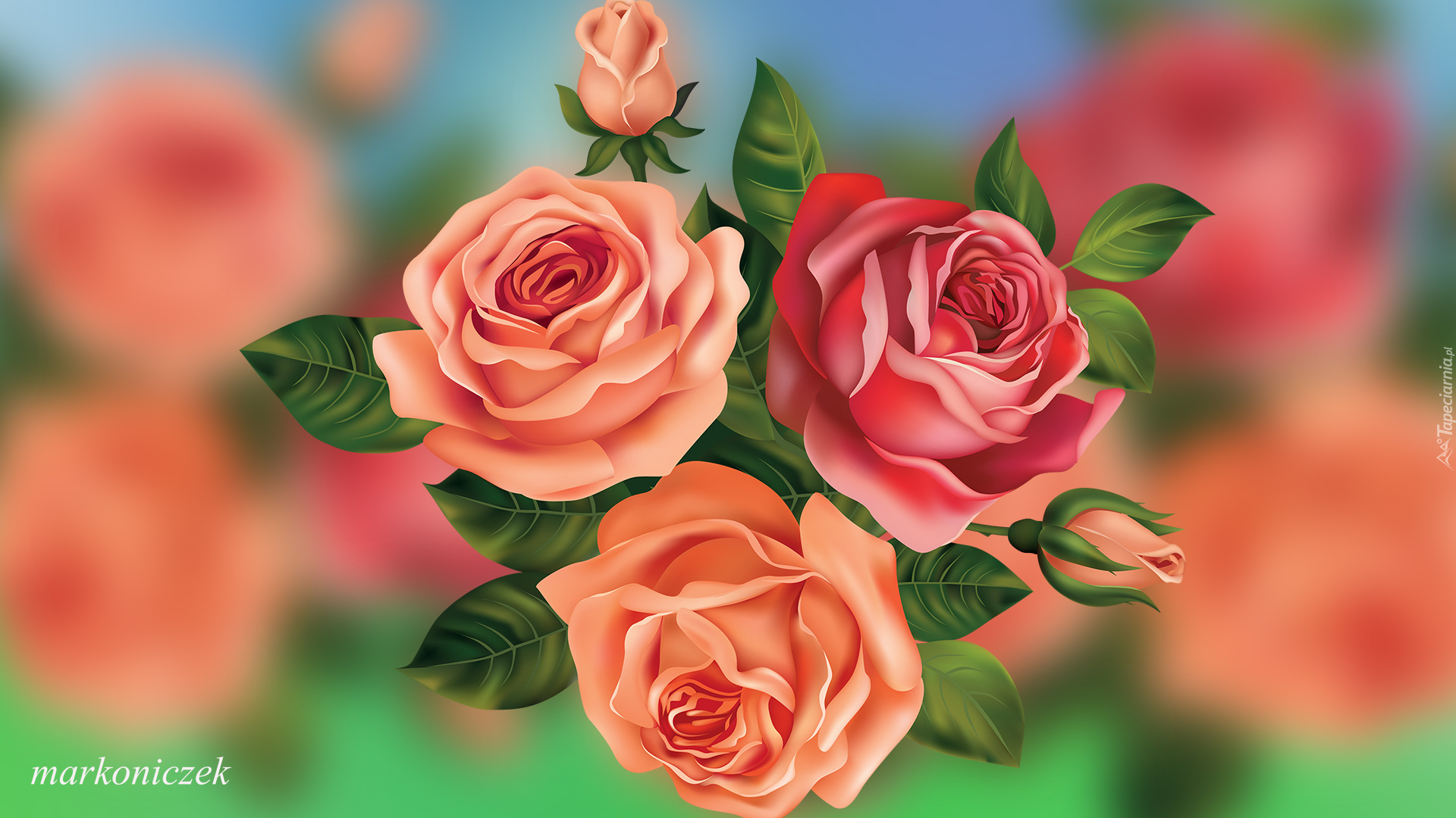 Kwiaty, Trzy, Róże, Grafika, 2D