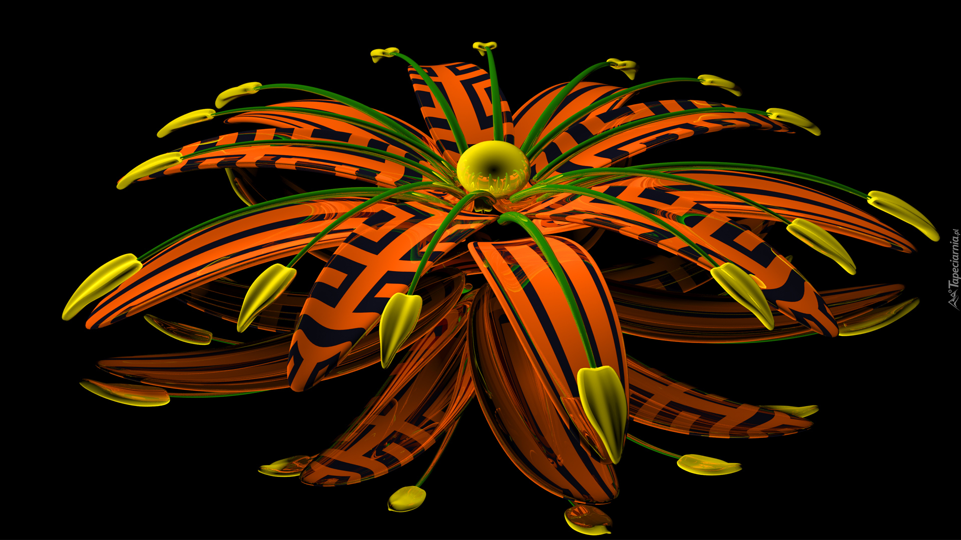 Grafika 3D, Pomarańczowy, Kwiat