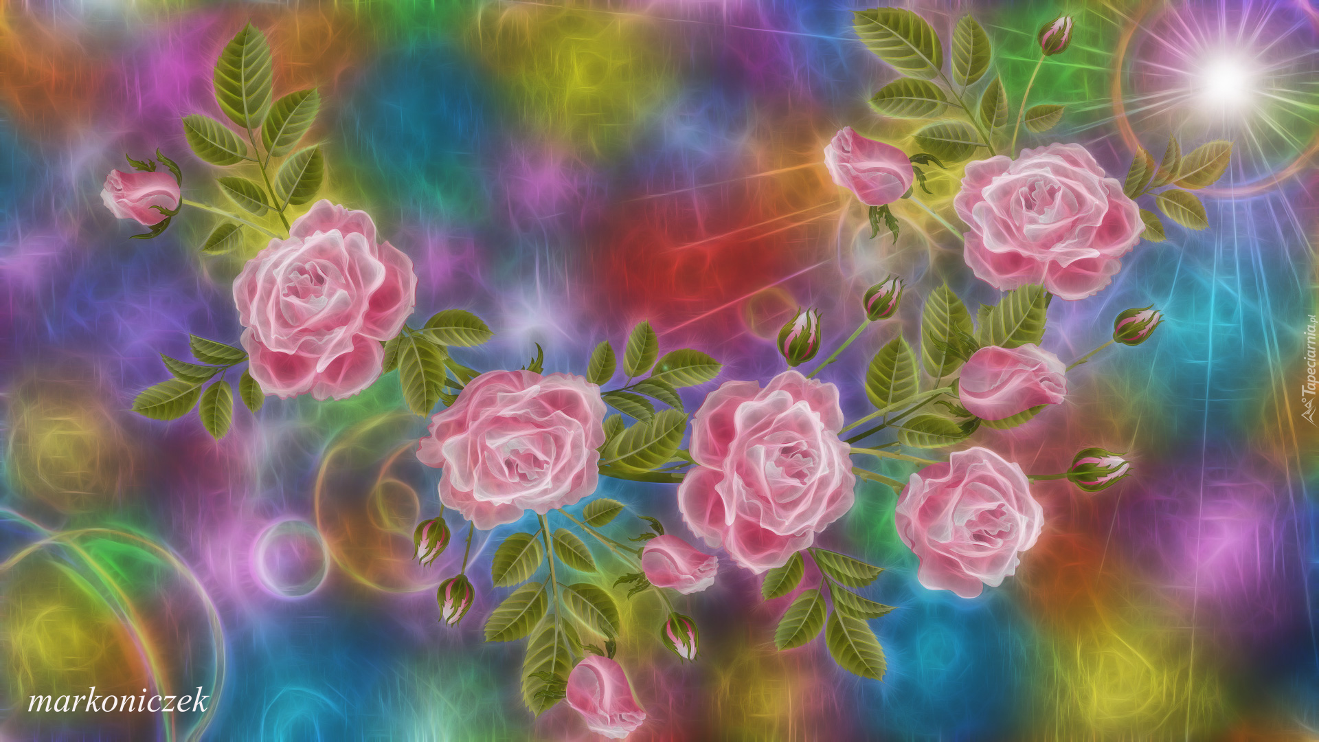 Kwiaty, Różowe, Róże, 2D, Grafika