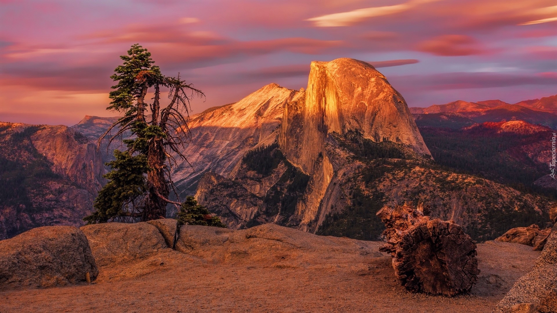 Góry, Rozświetlona, Góra, Half Dome, Skały, Drzewa, Zachód słońca, Park Narodowy Yosemite, Kalifornia, Stany Zjednoczone