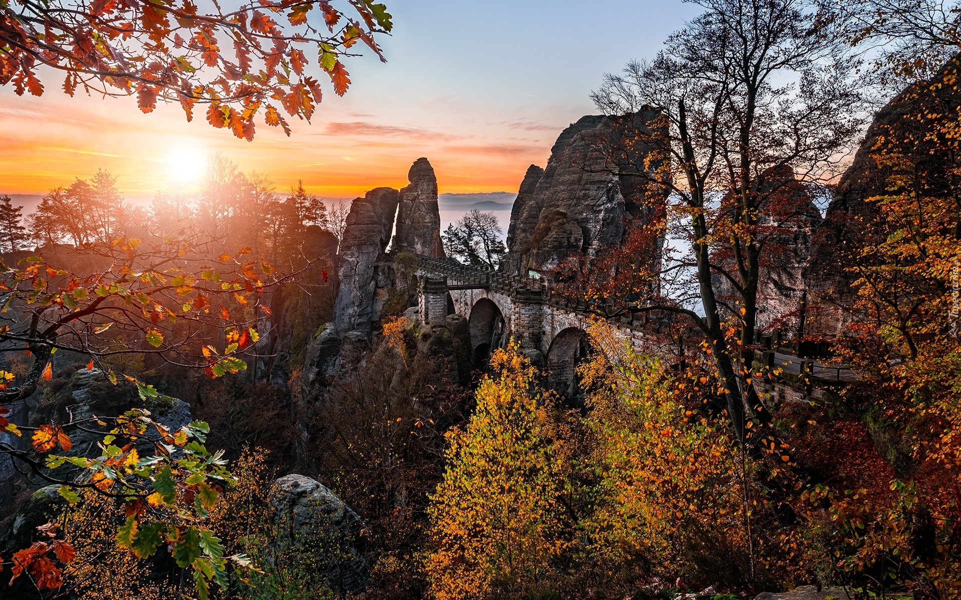 Drzewa, Jesień, Skały, Góry Połabskie, Park Narodowy Saskiej Szwajcarii, Saksonia, Niemcy
