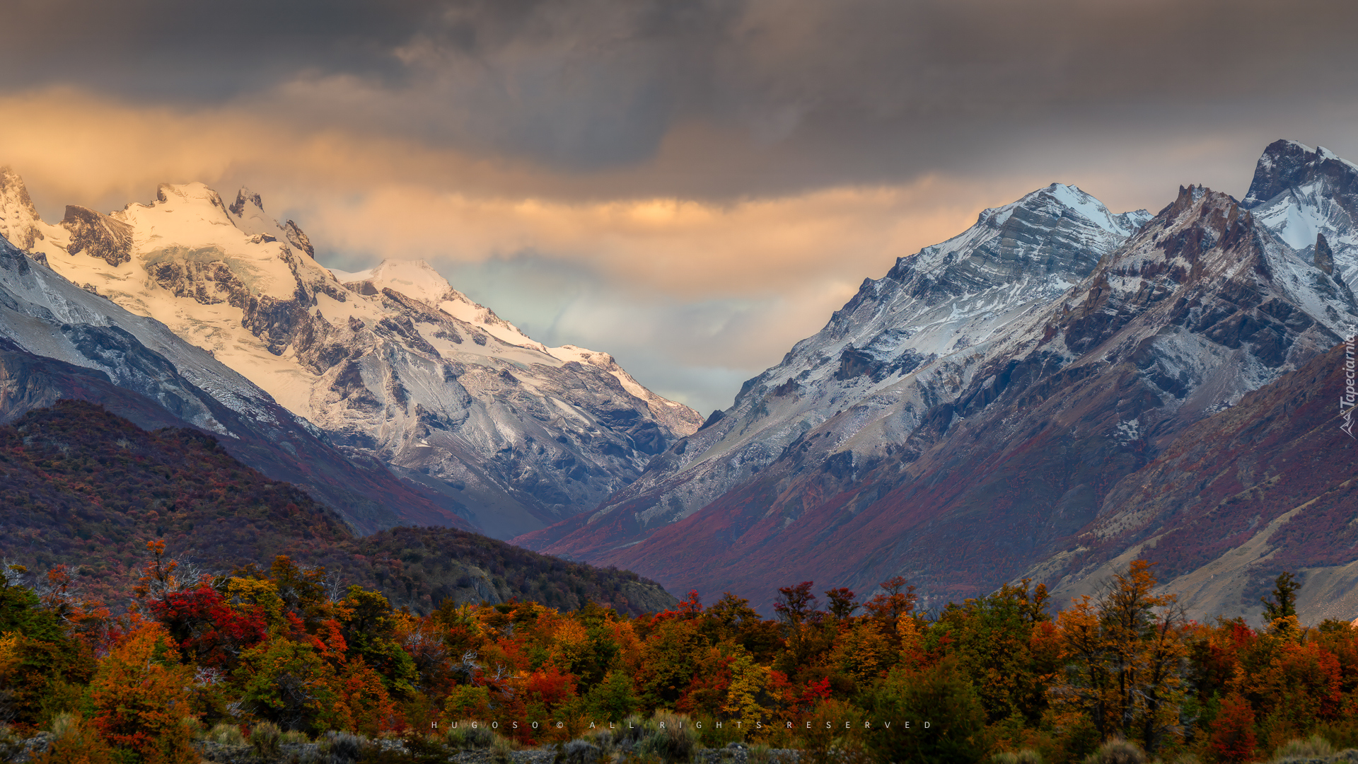 Argentyna, Patagonia, Góry, Ośnieżone, Drzewa, Jesień, Roślinność, Park Narodowy Los Glaciares
