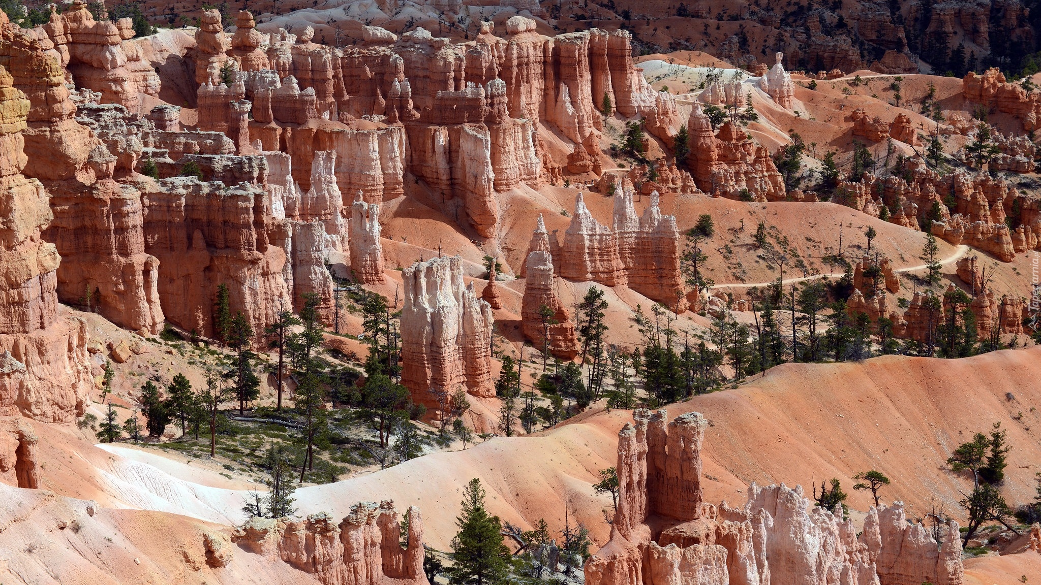 Czerwone, Skały, Park Narodowy Bryce Canyon, Utah, Stany Zjednoczone