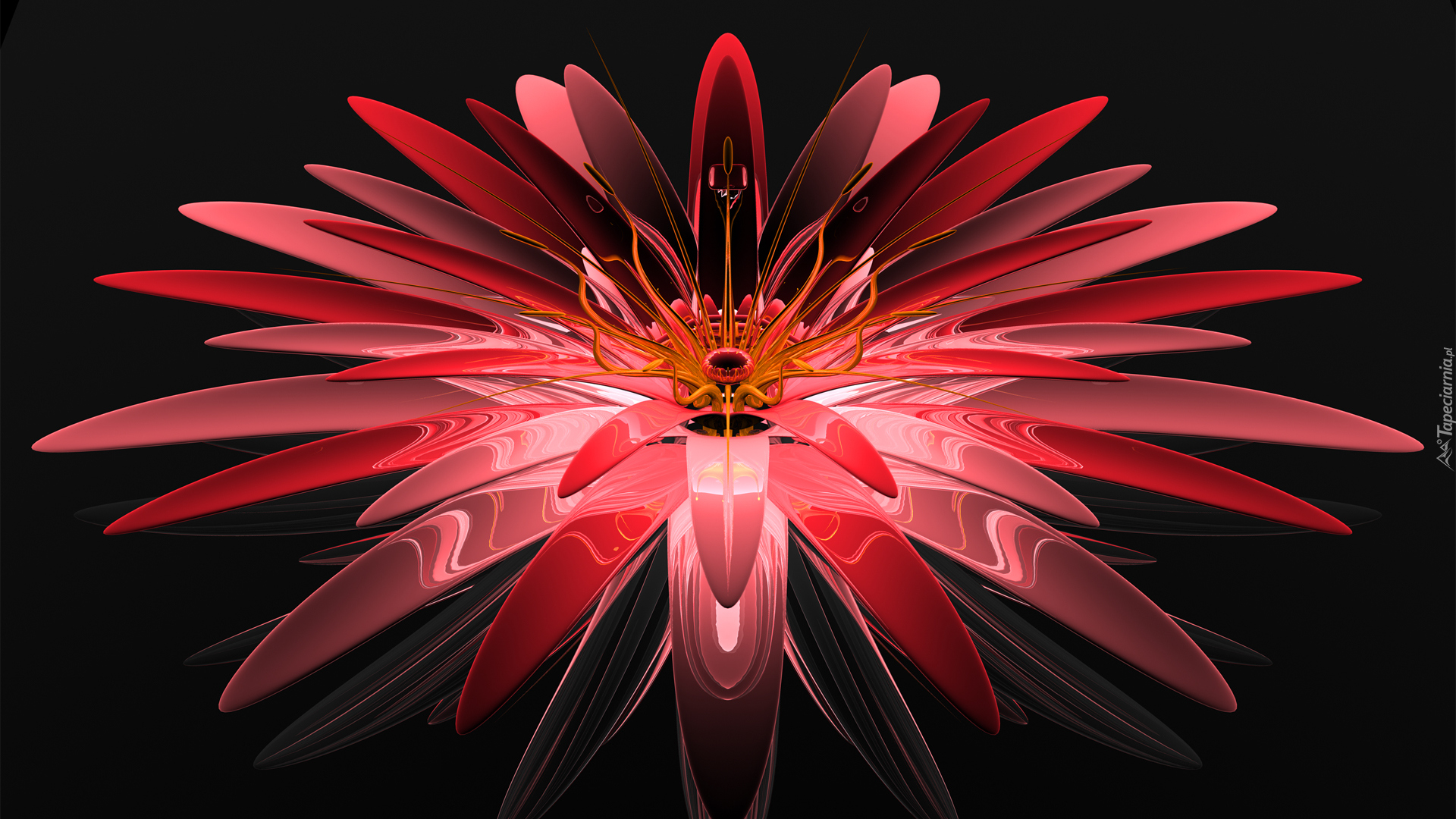 Grafika 3D, Czerwony, Kwiat
