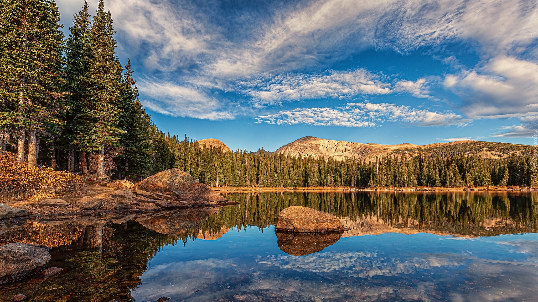 Las, Drzewa, Kamienie, Jezioro, Brainard Lake, Kolorado, Stany Zjednoczone
