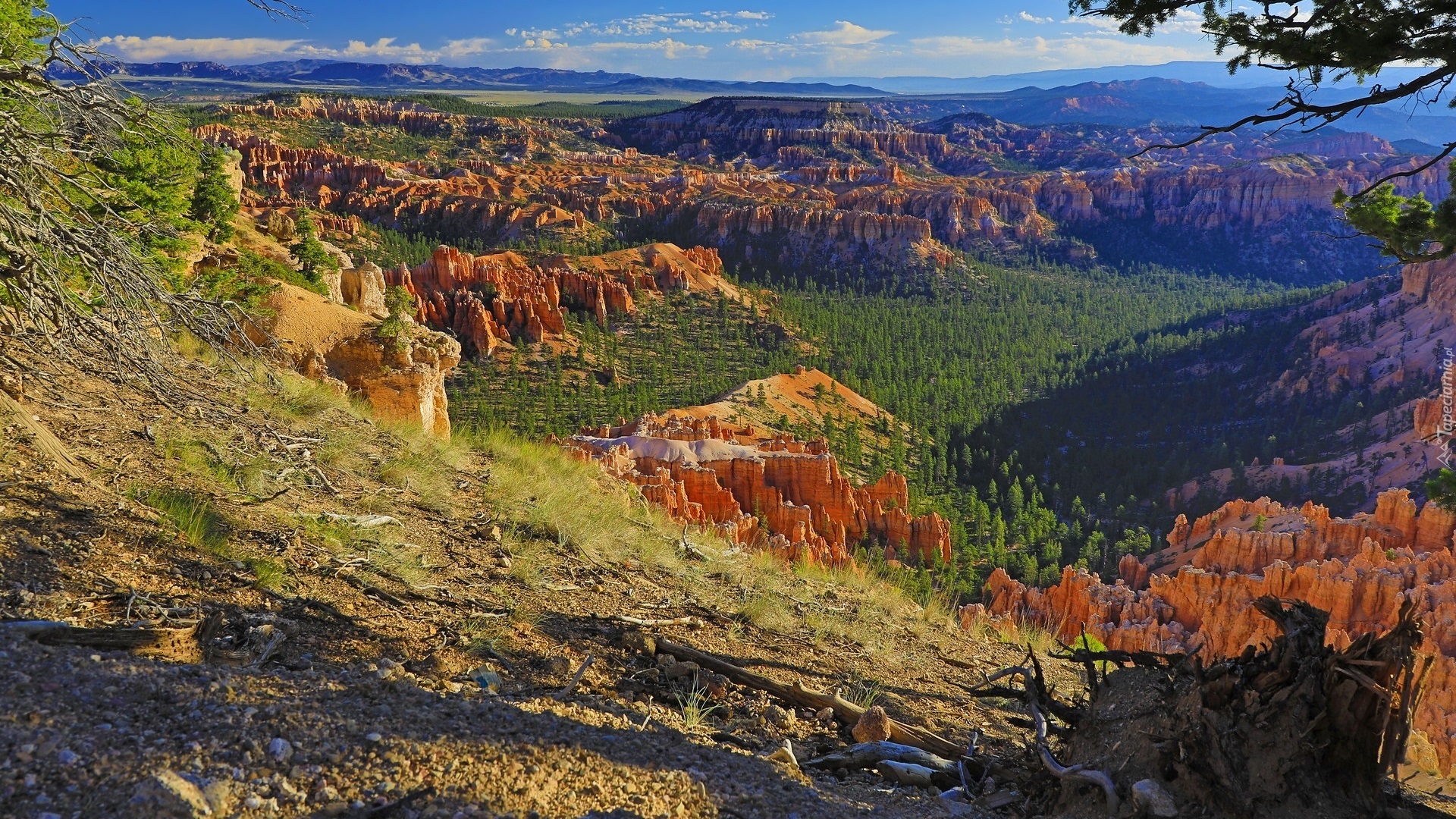 Góry, Skały, Drzewa, Trawa, Bryce Canyon, Park Narodowy Bryce Canyon, Utah, Stany Zjednoczone