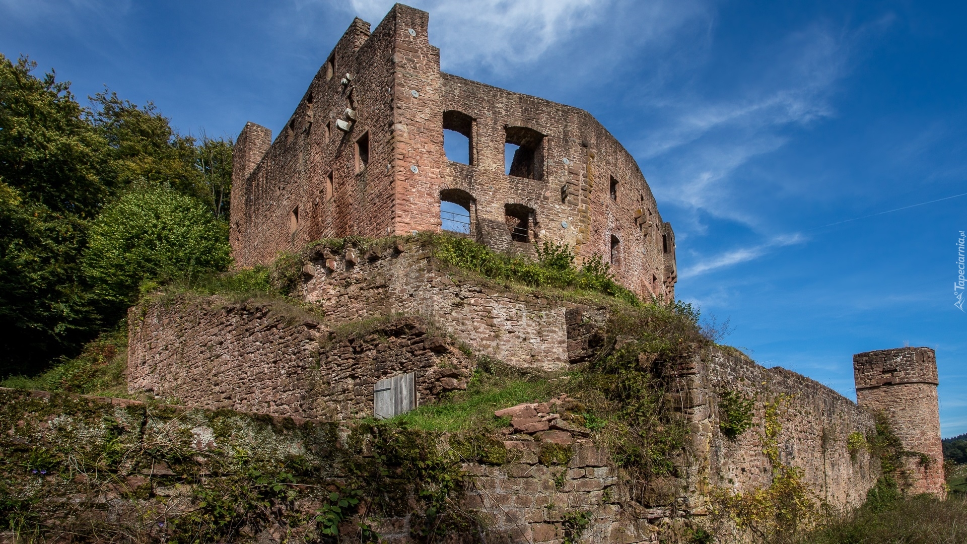 Ruiny, Burg Freienstein, Krzewy, Trawa, Oberzent, Niemcy