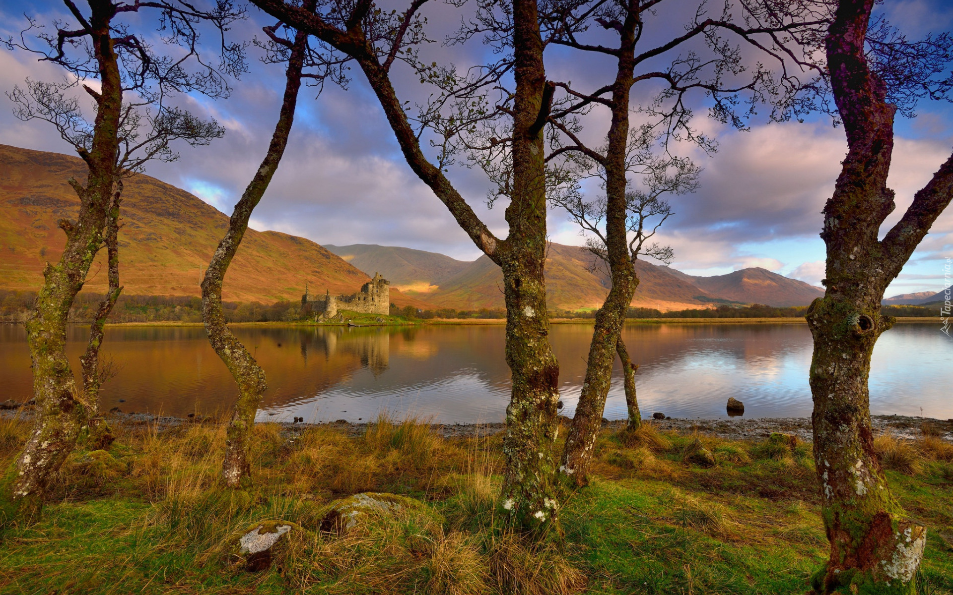 Drzewa, Gałęzie, Jezioro Awe, Ruiny, Zamek, Twierdza, Kilchurn Castle, Wzgórza, Niebo, Chmury, Szkocja