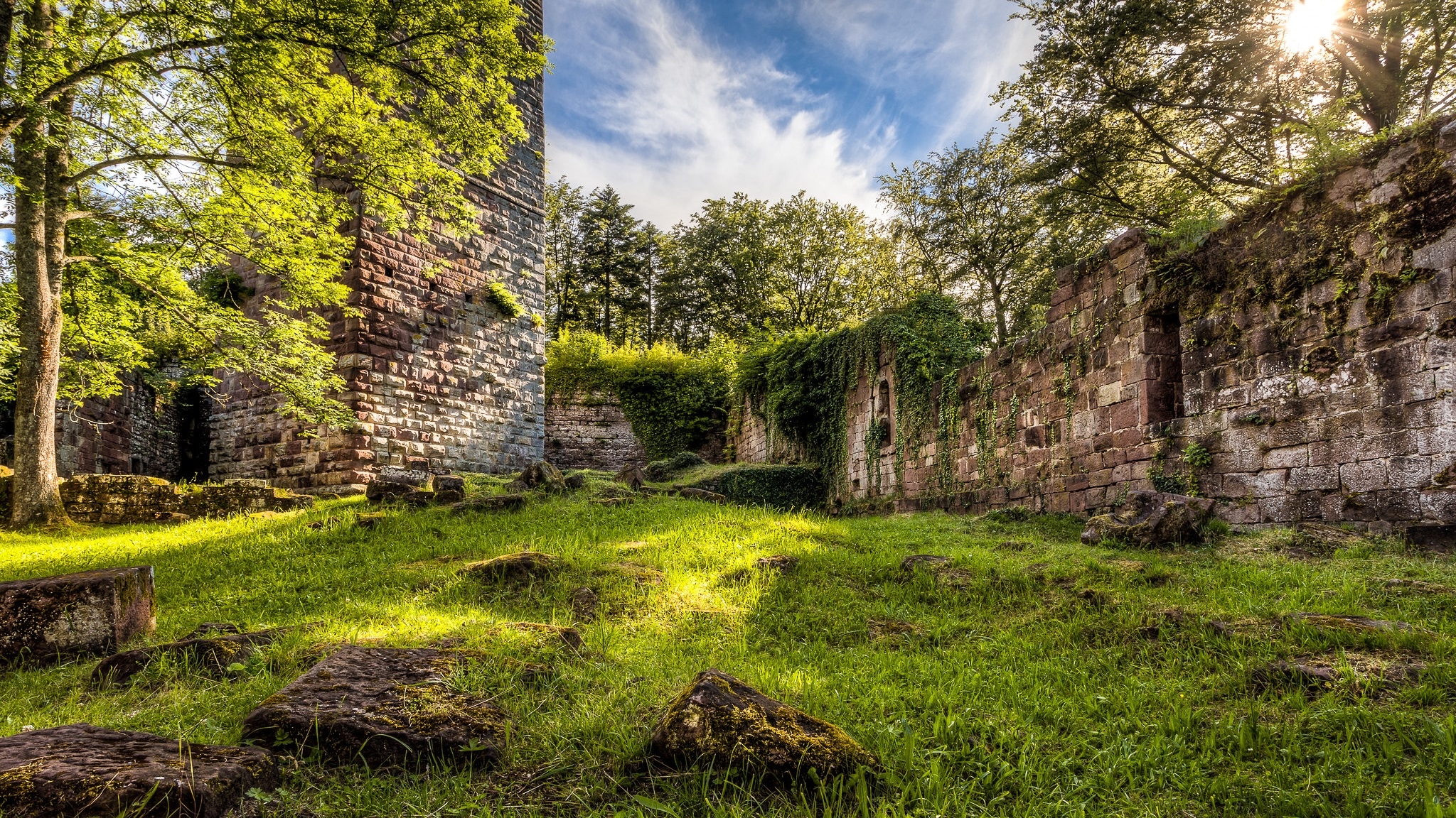 Ruiny, Wildenberg Castle, Mury, Drzewa, Rośliny, Trawa, Kirchzell, Bawaria, Niemcy