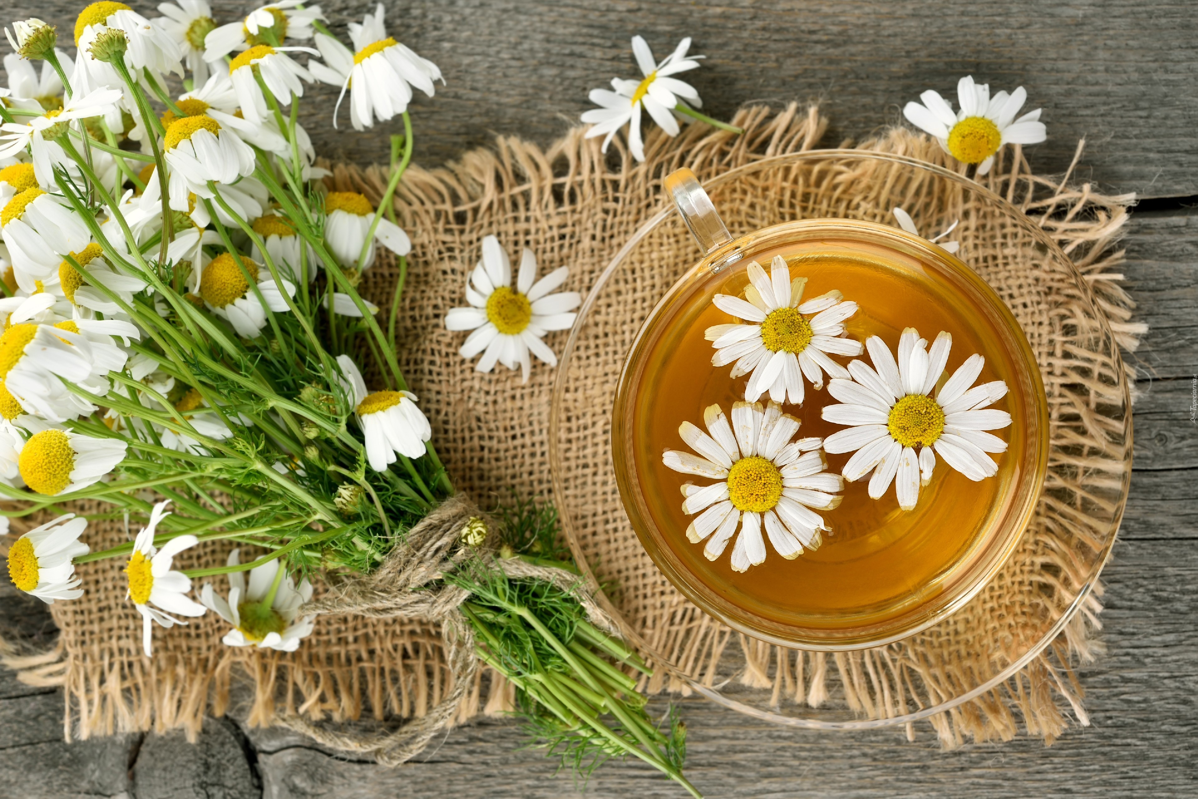 Kwiaty, Rumianek, Herbata