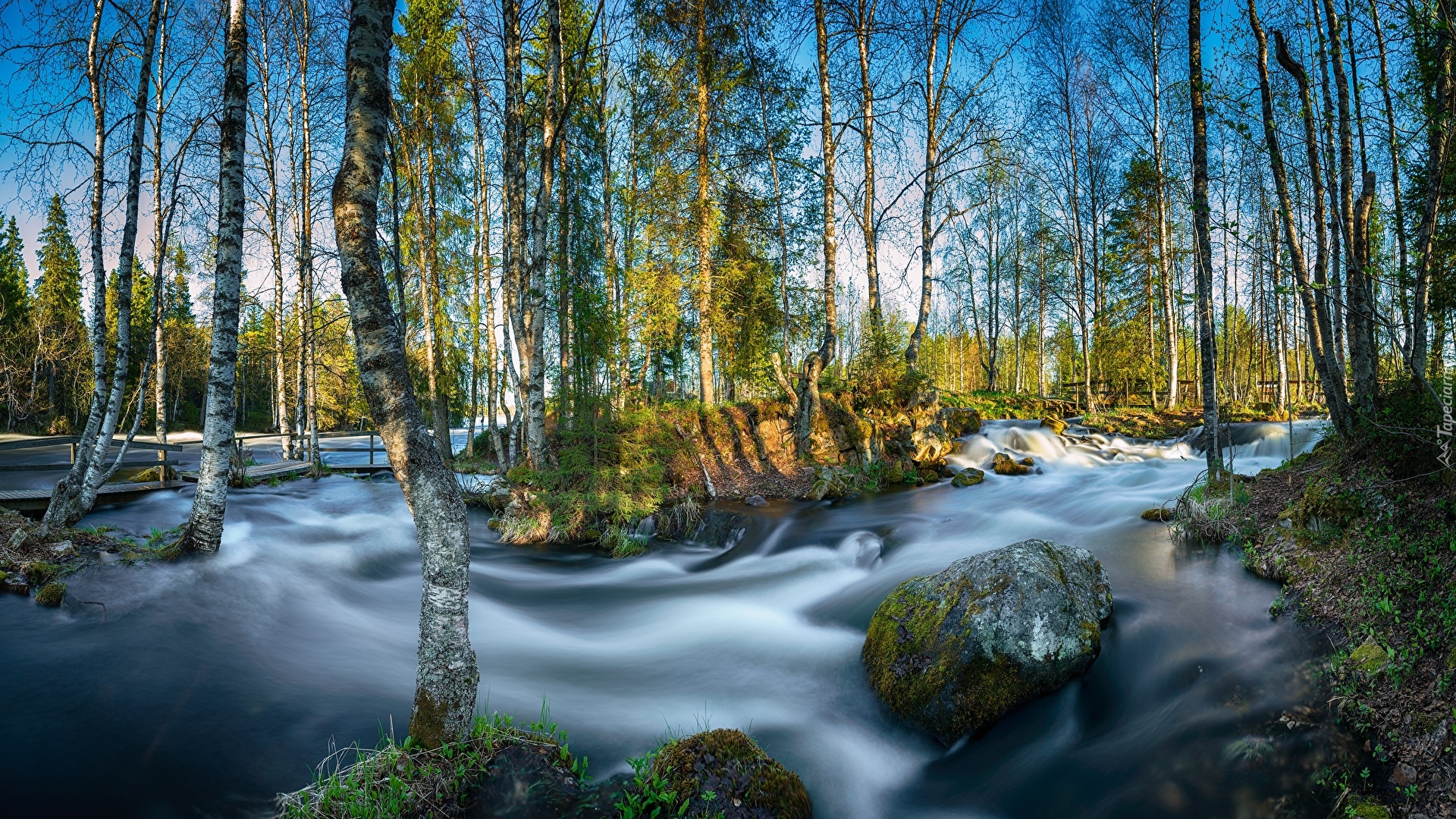 Rwąca, Rzeka, River Kitkajoki, Brzozy, Skały, Most, Park Narodowy Oulanka, Laponia, Finlandia
