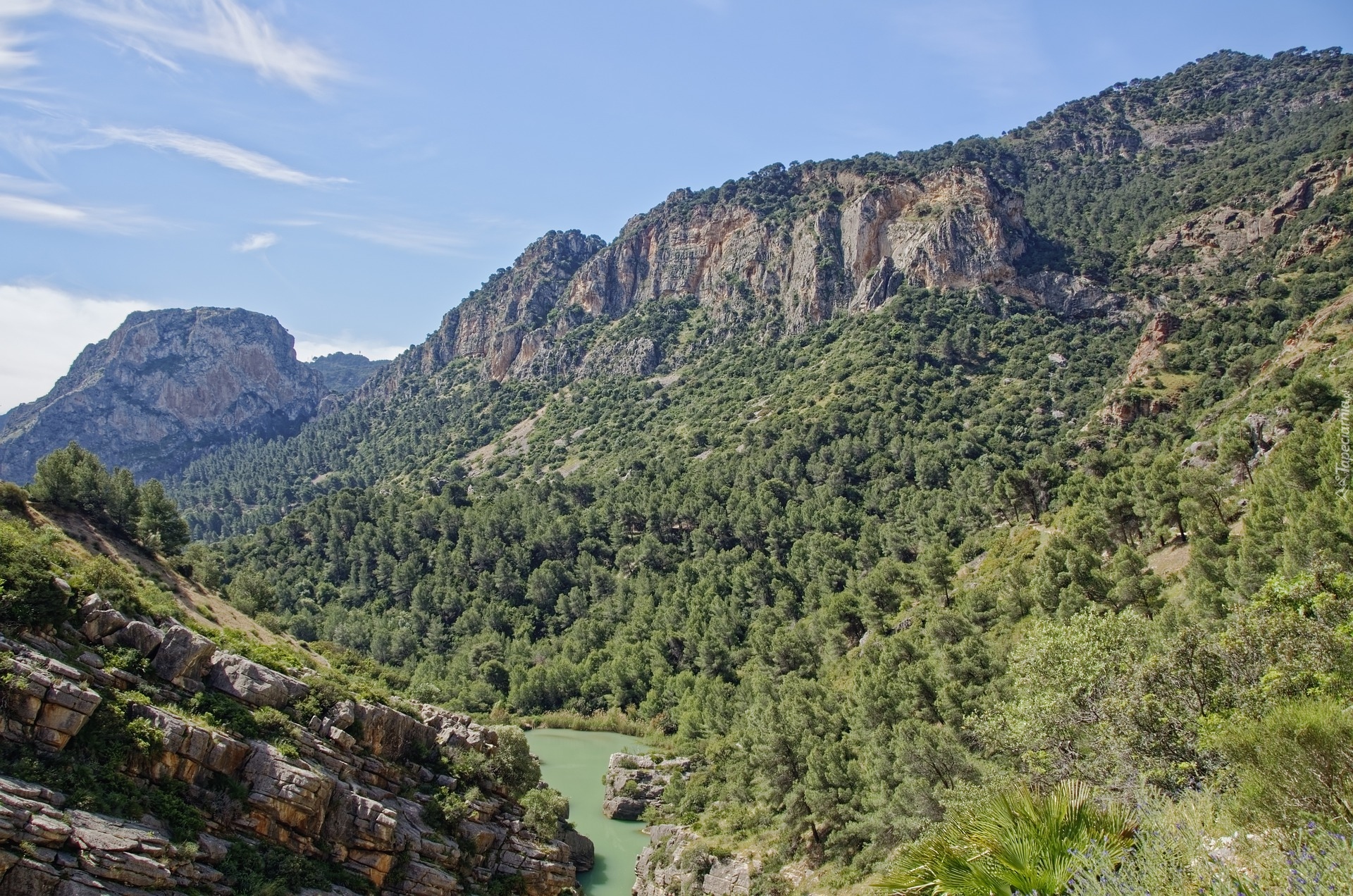 Wąwóz, Góry, Rzeka Guadalhorce, Prowincja Malaga, Hiszpania