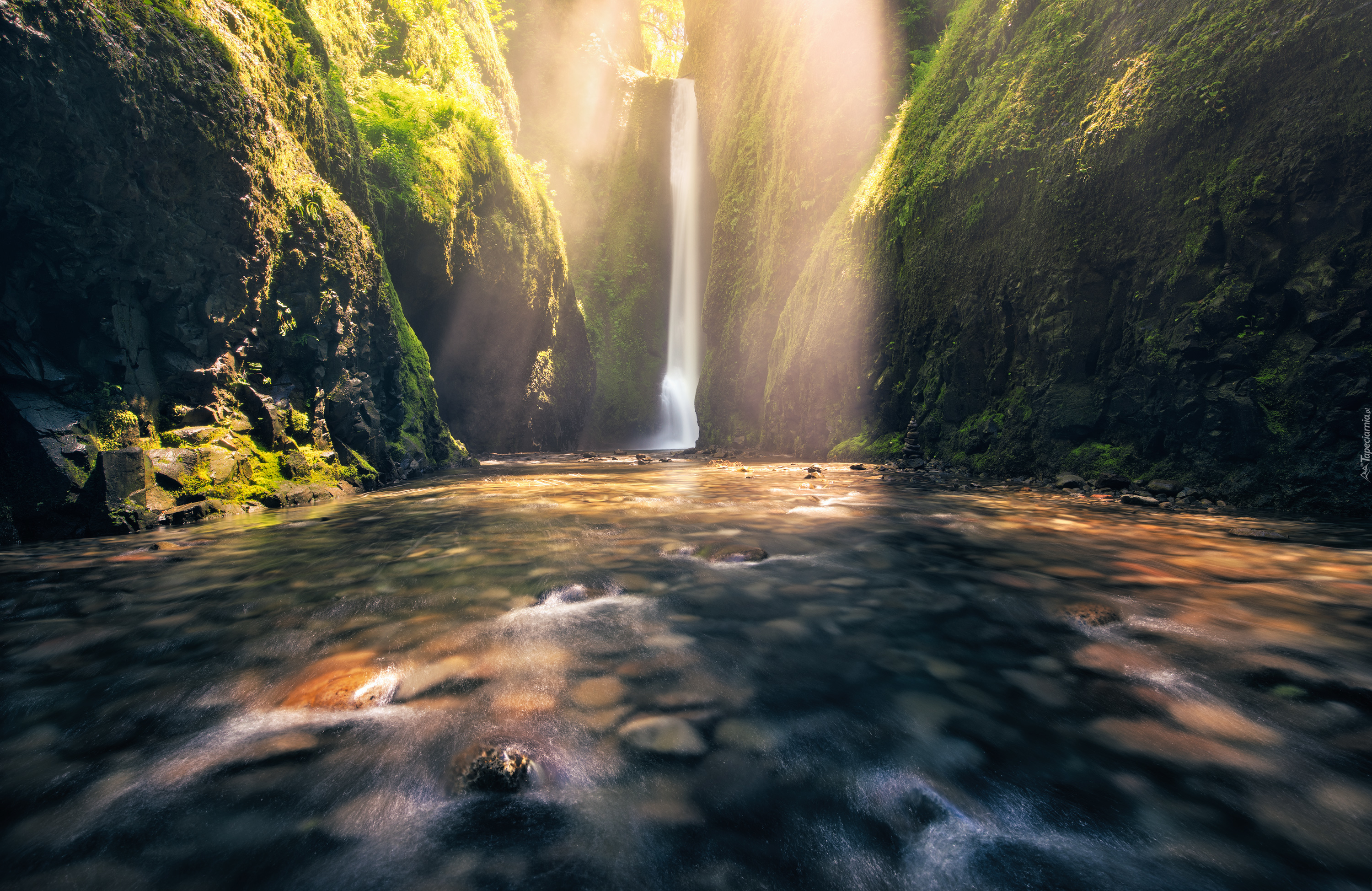 Wodospad Oneonta Gorge, Rzeka Oneonta Creek, Wąwóz Oneonta, Roślinność, Kamienie, Skały, Rezerwat przyrody Columbia River, Stan Oregon, Stany Zjednoczone