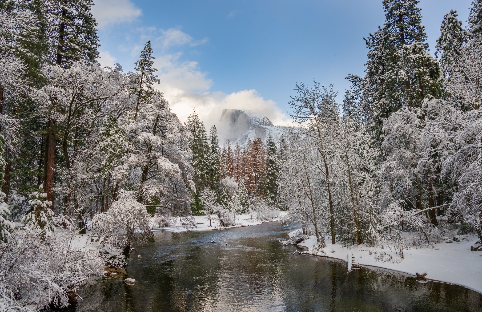 Zima, Park Narodowy Yosemite, Zima, Drzewa, Góry, Szczyt El Capitan, Rzeka Merced River, Kalifornia, Stany Zjednoczone
