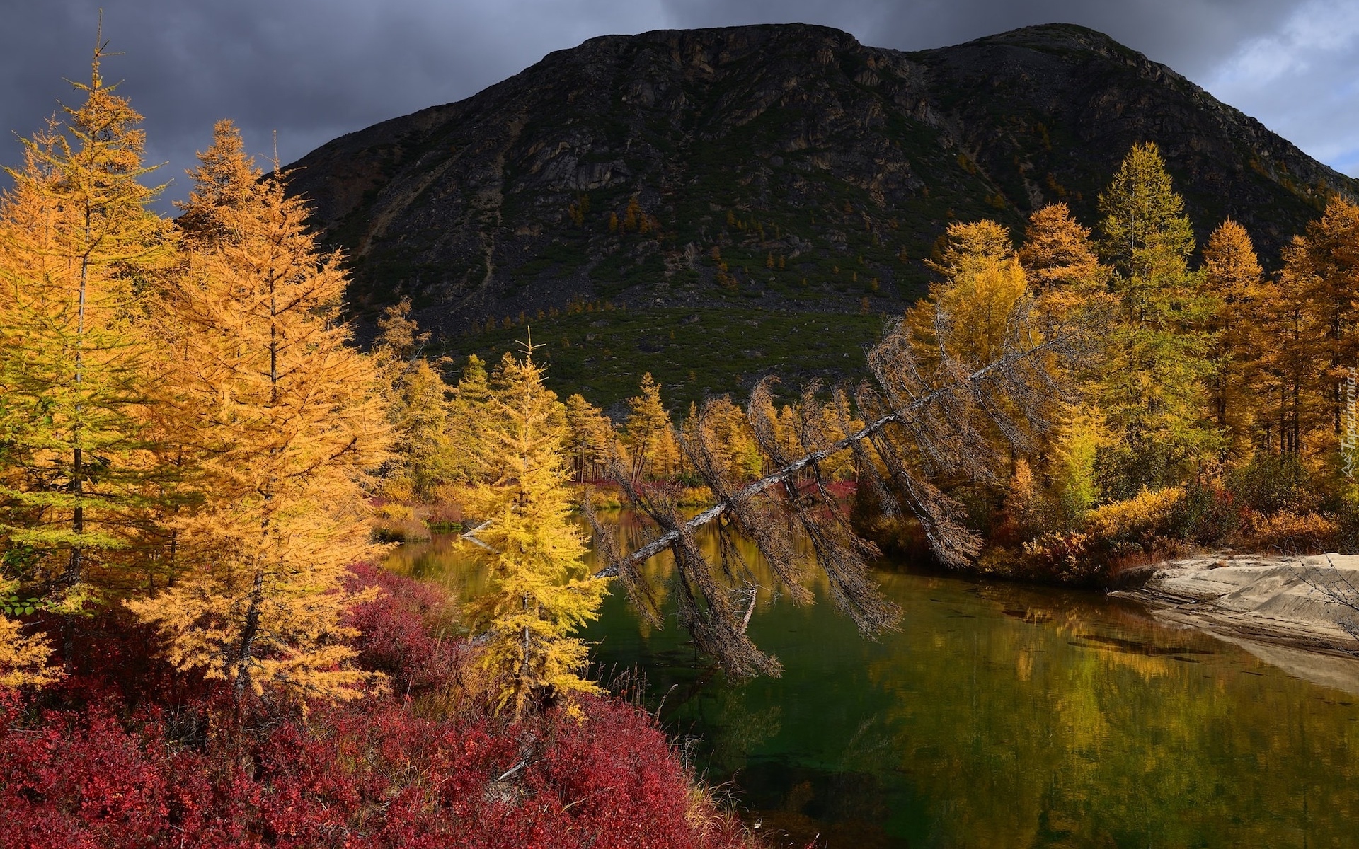 Jesień, Góry, Rzeka, Purga, Pożółkłe, Drzewa, Kołyma, Magadan, Rosja