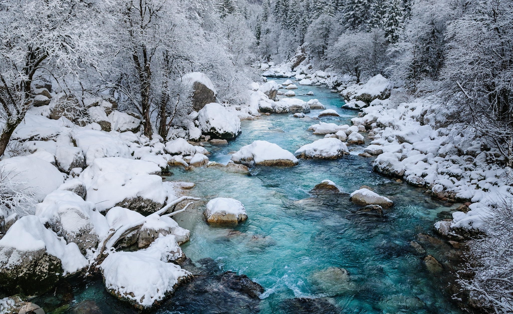 Słowenia, Rzeka Socza, Zima, Kamienie, Drzewa