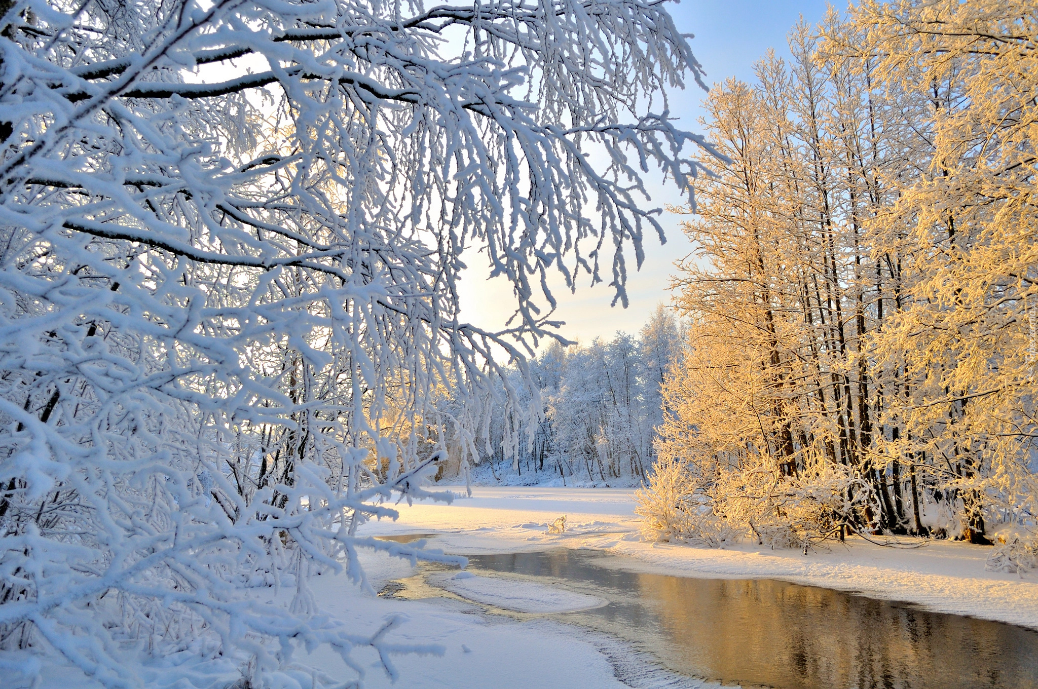 Finlandia, Karelia Północna, Gmina Liperi, Zima, Drzewa, Las, Rzeka, Śnieg