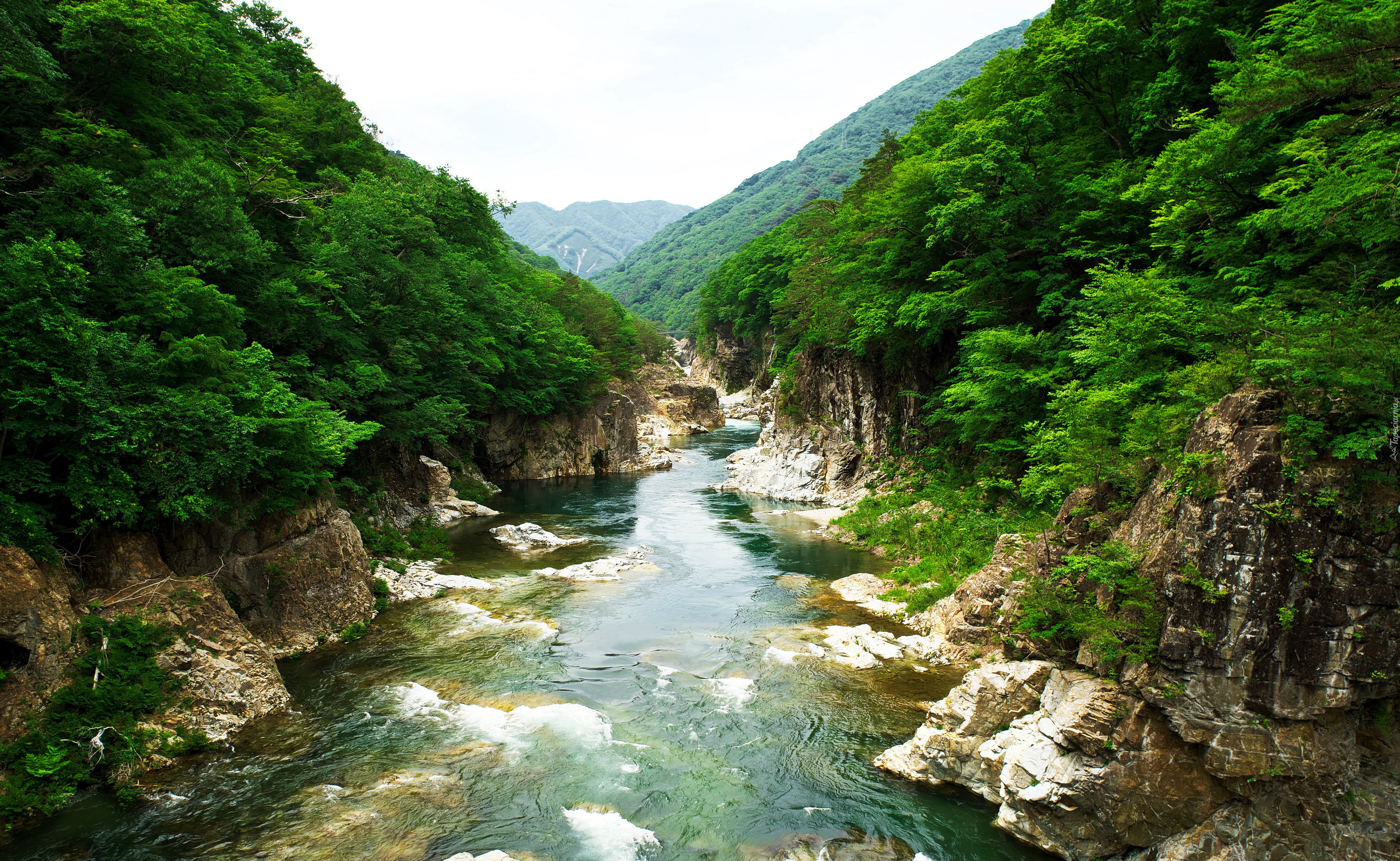 Japonia, Wyspa Honsiu, Park Narodowy Nikko, Rzeka, Kamienie, Drzewa, Góry