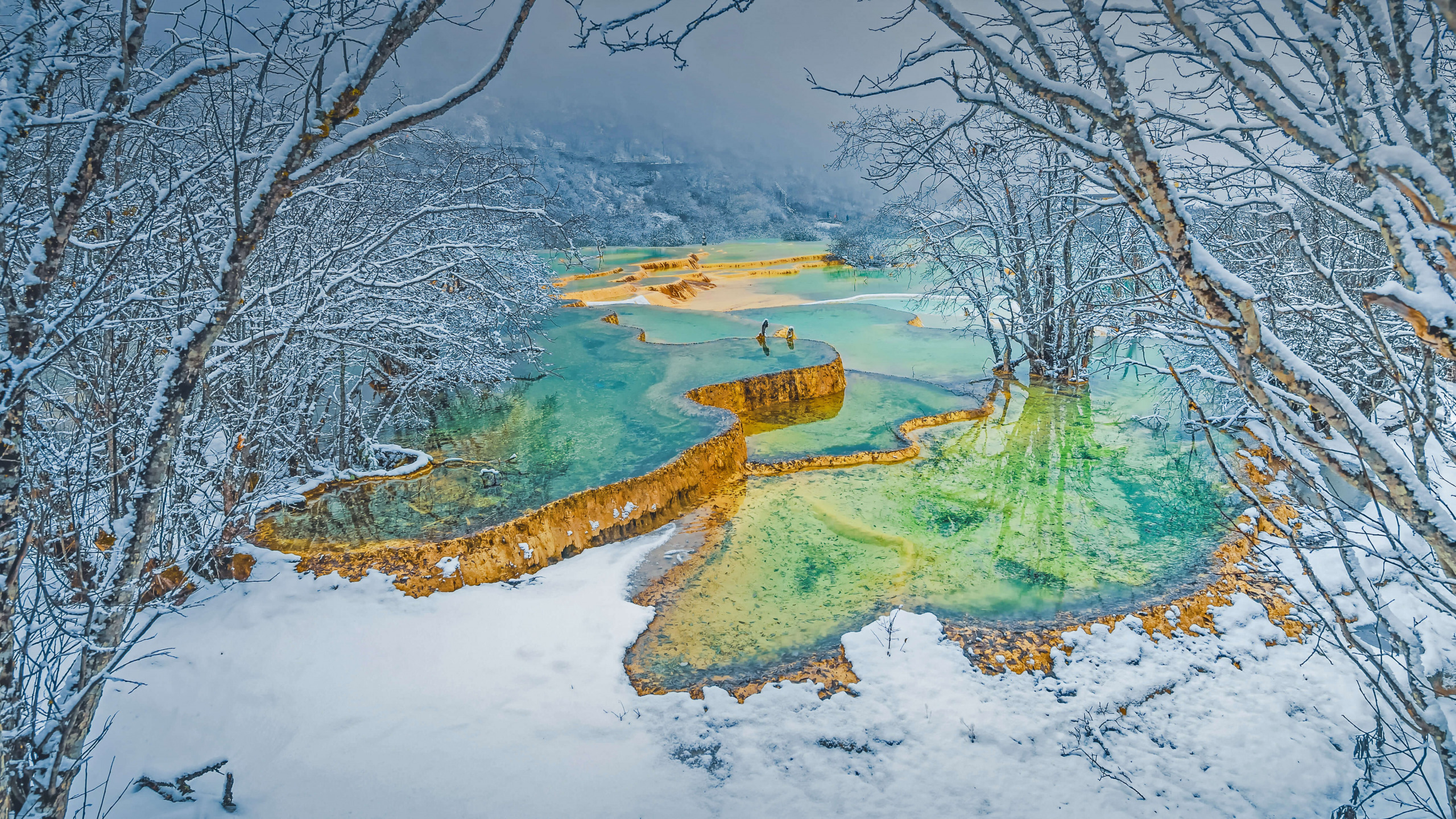 Zima, Drzewa, Śnieg, Rzeka, Sadzawki tarasowe, Kaskada, Dolina Huanglong, Chiny