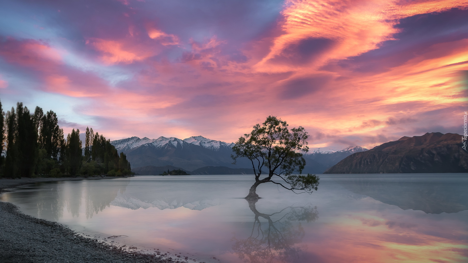 Jezioro Wanaka, Drzewa, Zachód słońca, Chmury, Pochylone, Drzewo, Góry, Region Otago, Nowa Zelandia