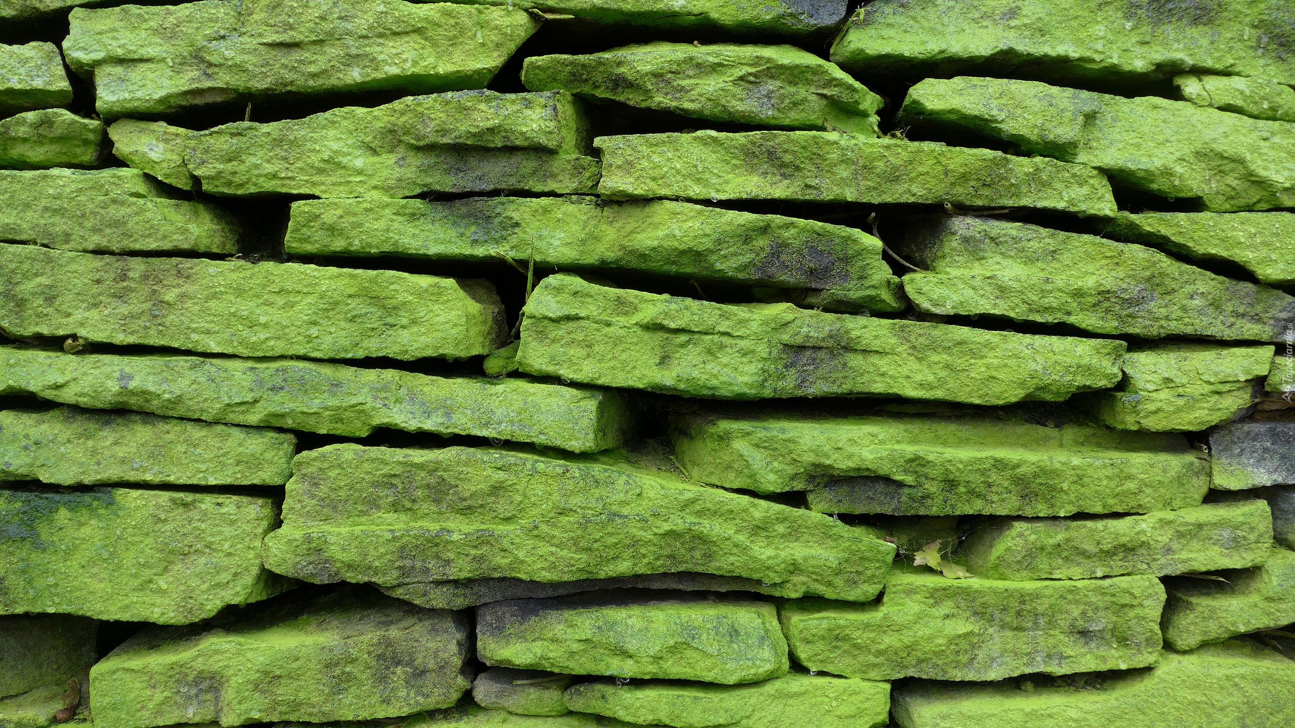 Ściana, Mur, Zielone, Kamienie