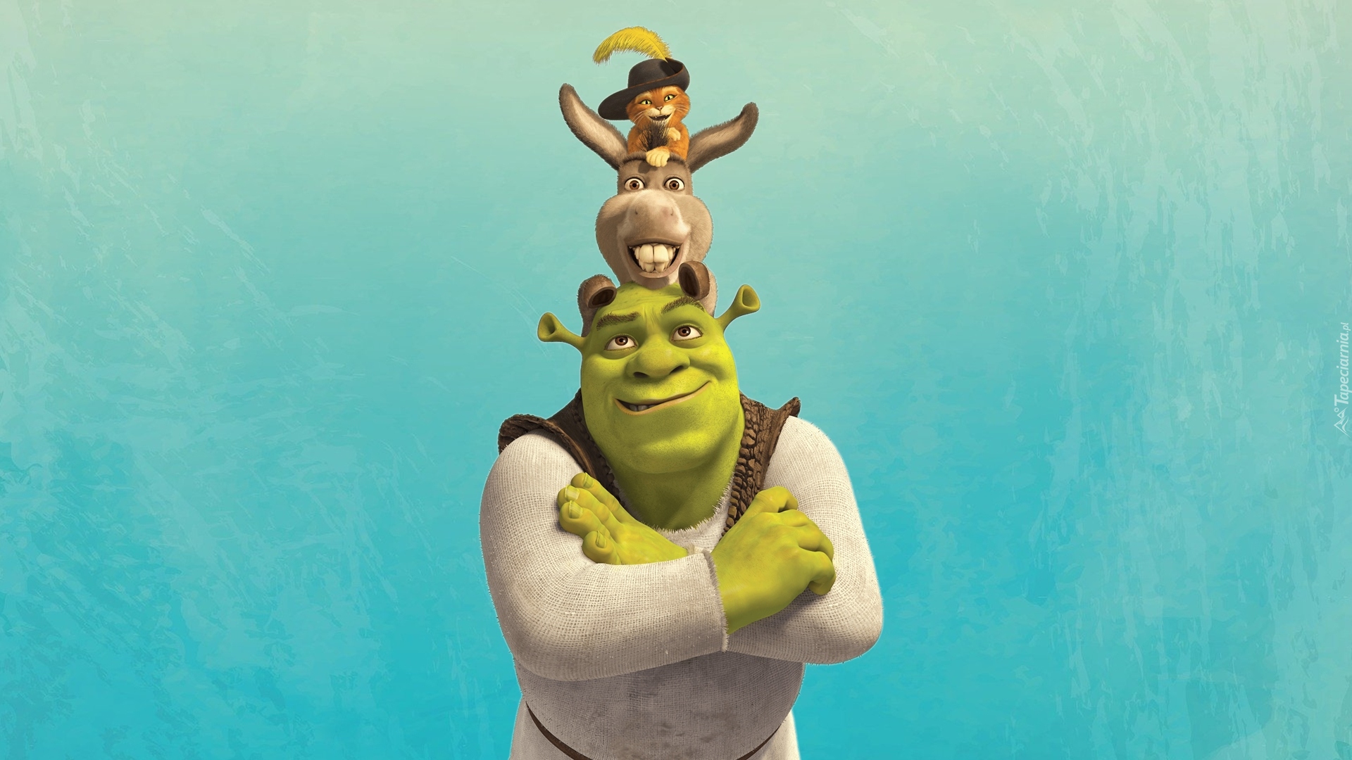 Film animowany, Shrek, Osioł, Kot