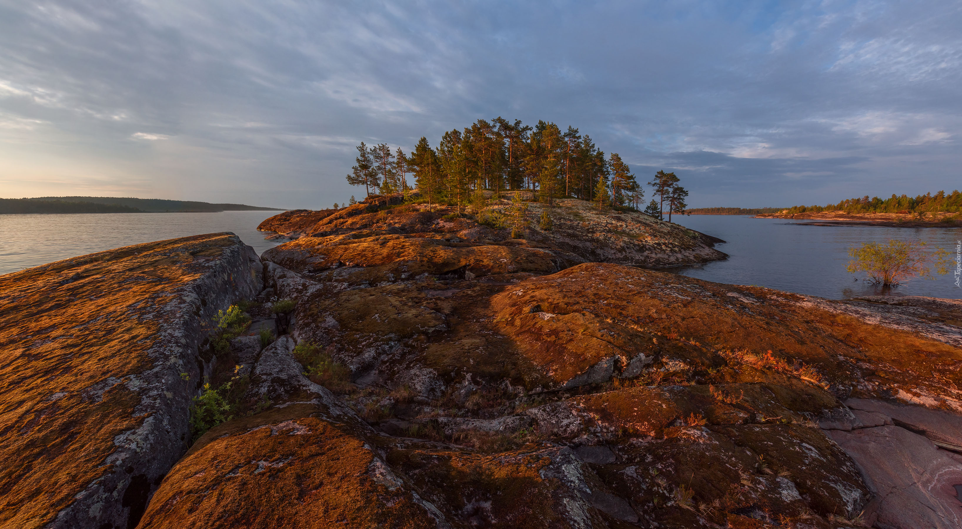 Jezioro Ładoga, Karelia, Rosja, Drzewa, Skały, Wschód słońca