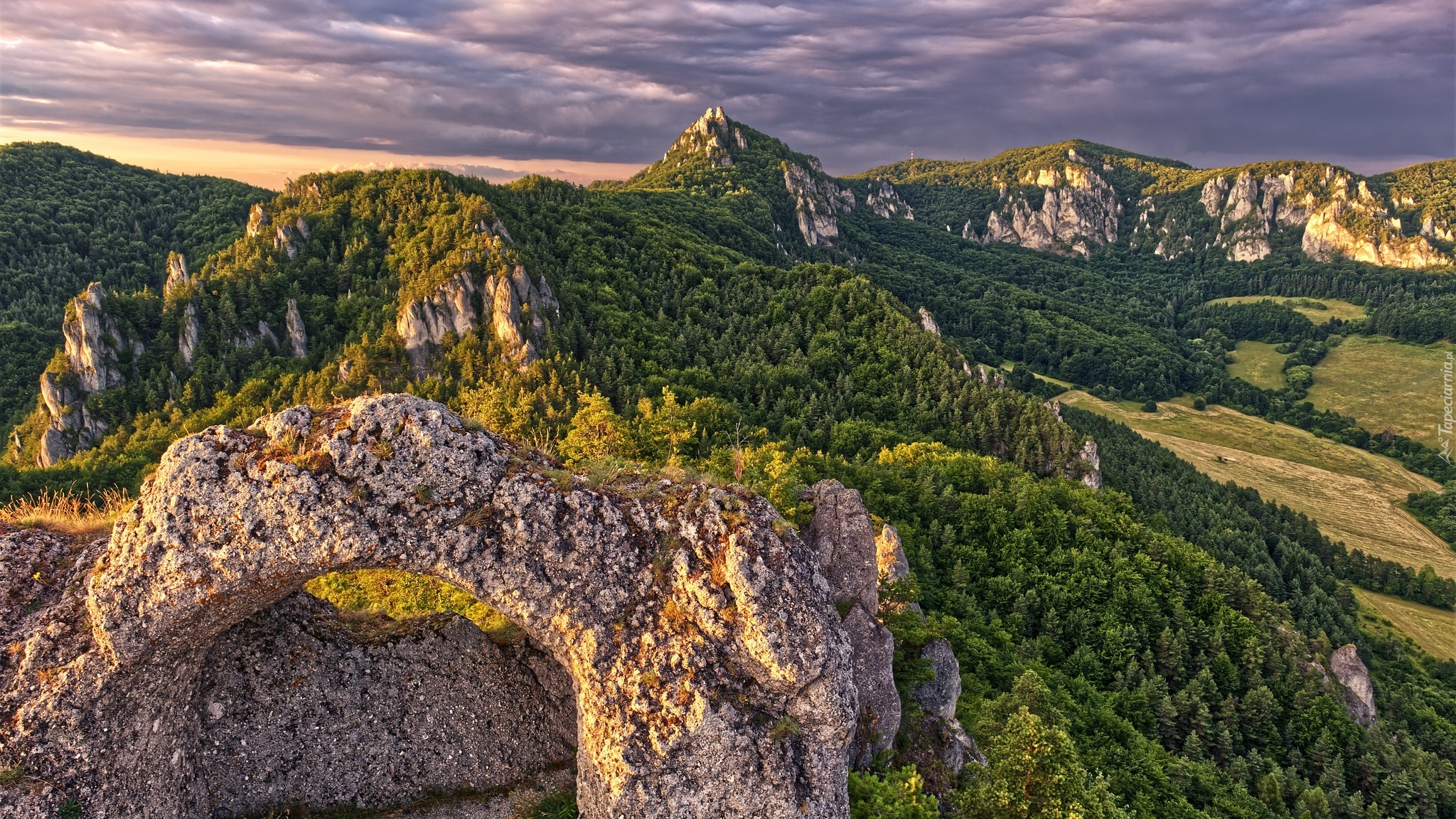 Góry, Skały, Drzewa, Lasy, Ruiny, Zamek, Castle Sulov, Powiat Bytca, Słowacja