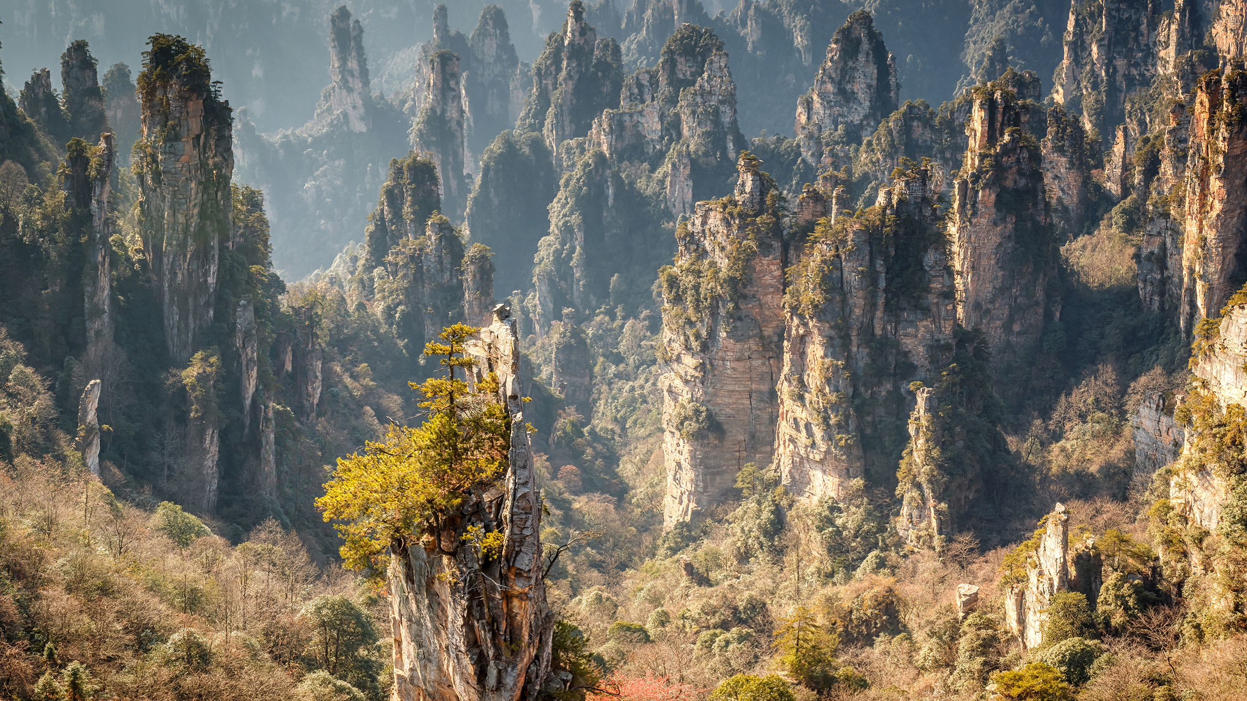 Chiny, Prowincja Hunan, Zhangjiajie National Forest Park, Skały, Góry