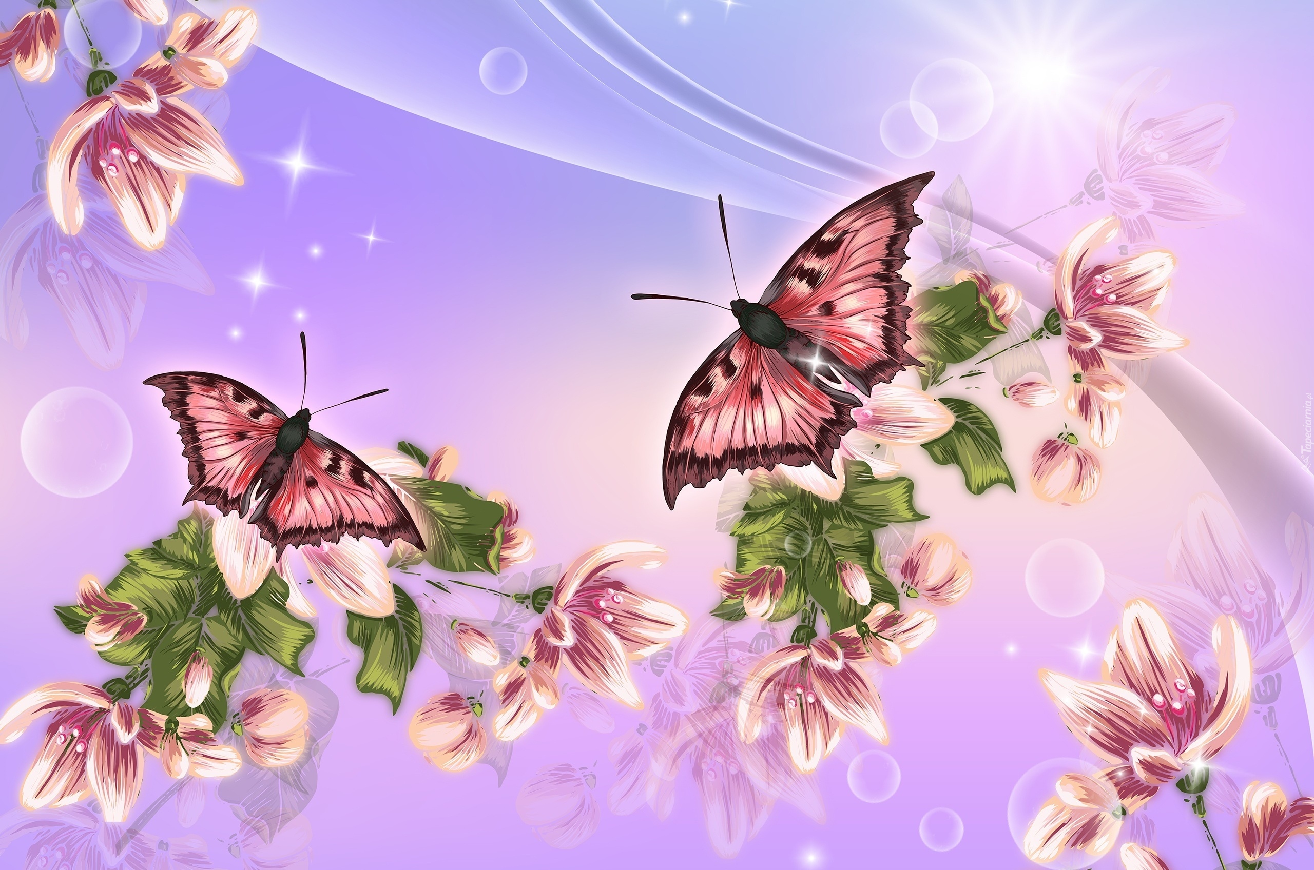 Motyle, Kwiaty, Słońce, Grafika 2D