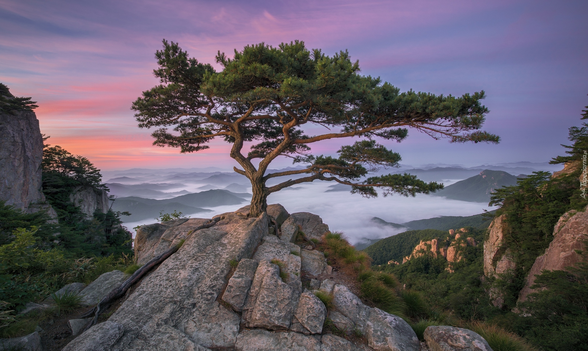 Park prowincjonalny Daedunsan, Wschód Słońca, Drzewa, Sosny, Góry, Prowincja Jeolla Północna, Korea Południowa