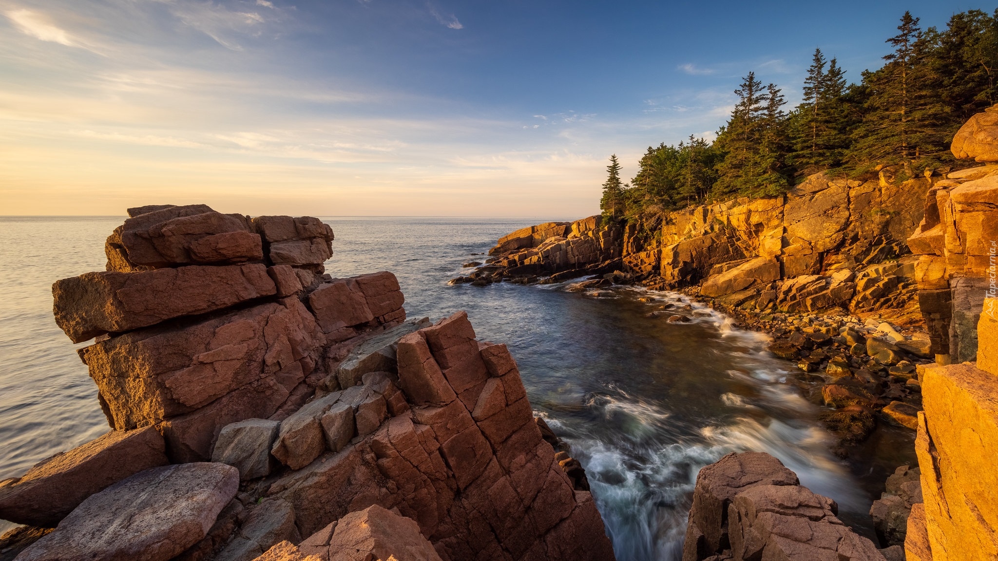 Morze, Skały, Drzewa, Sosny, Park Narodowy Acadia, Maine, Stany Zjednoczone