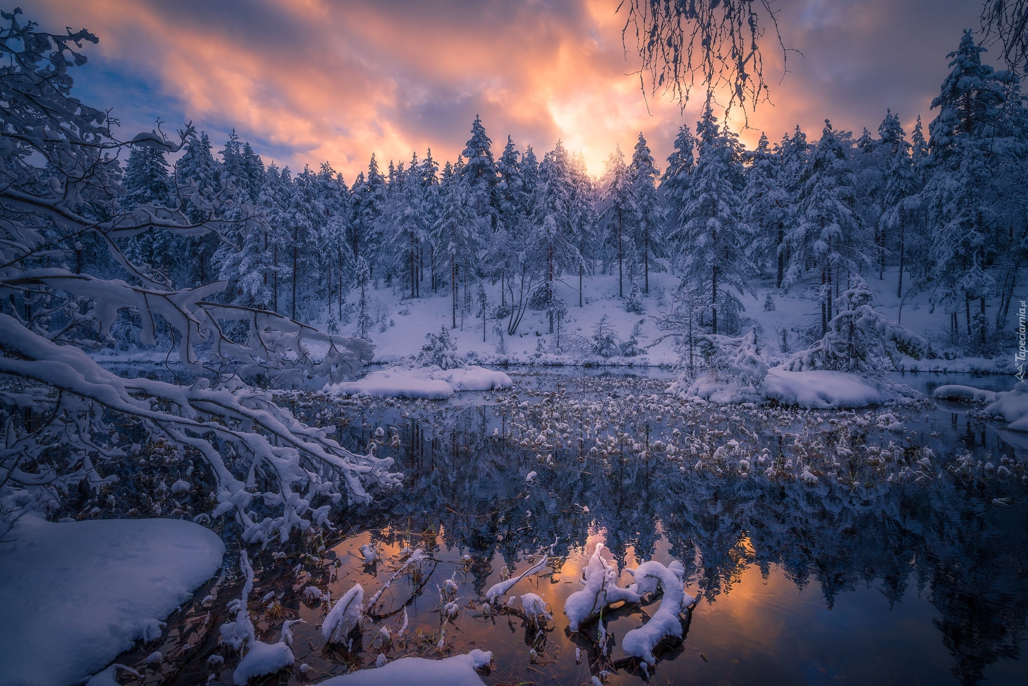 Norwegia, Staw, Gmina Ringerike, Zima, Drzewa, Śnieg