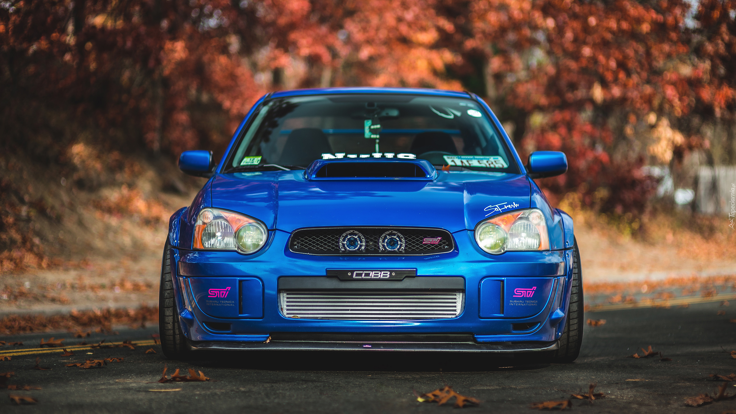 Subaru Impreza STI, Niebieskie