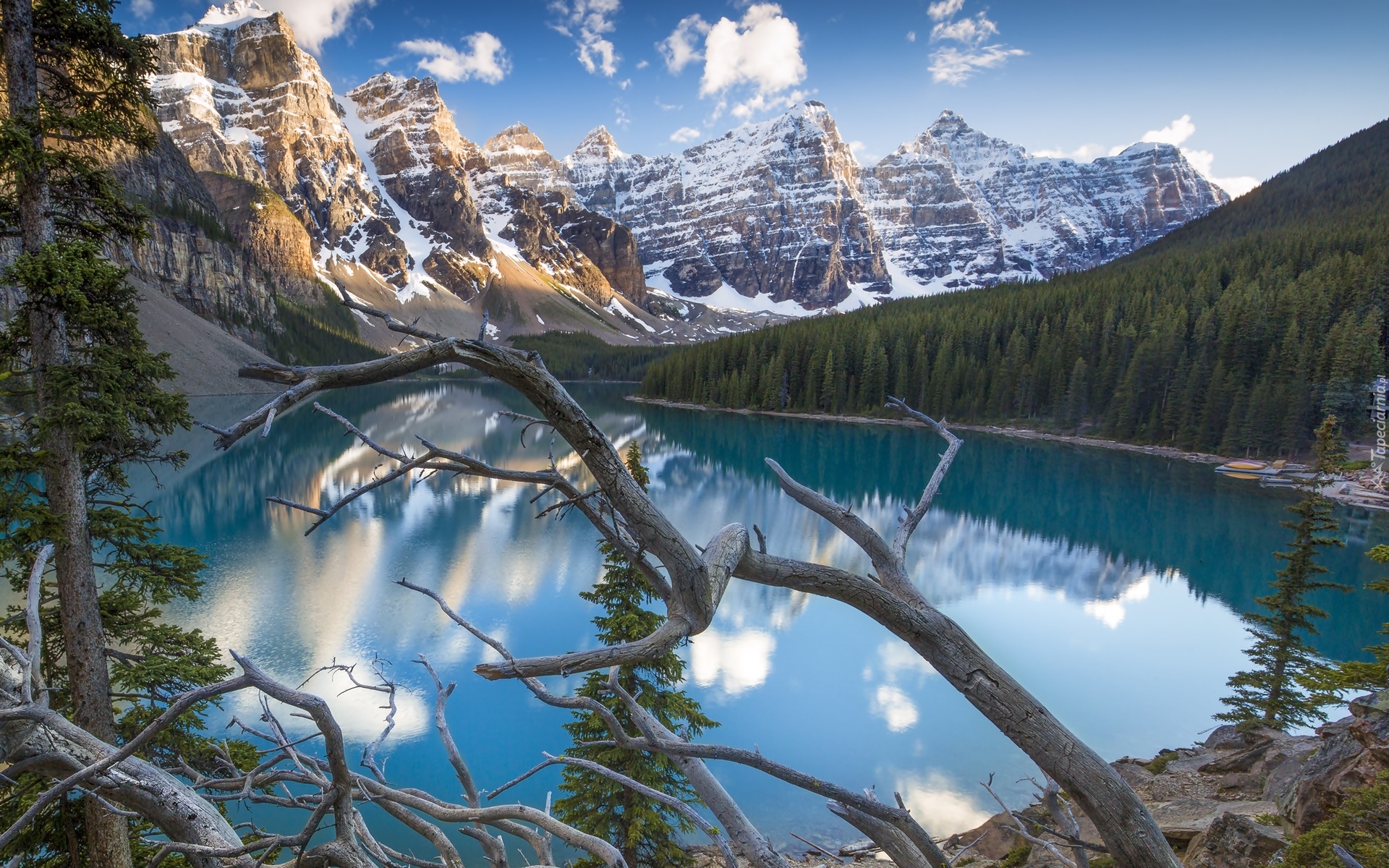 Kanada, Alberta, Park Narodowy Banff, Góry, Jezioro Moraine, Las, Drzewa, Suche, Konary, Chmury, Odbicie