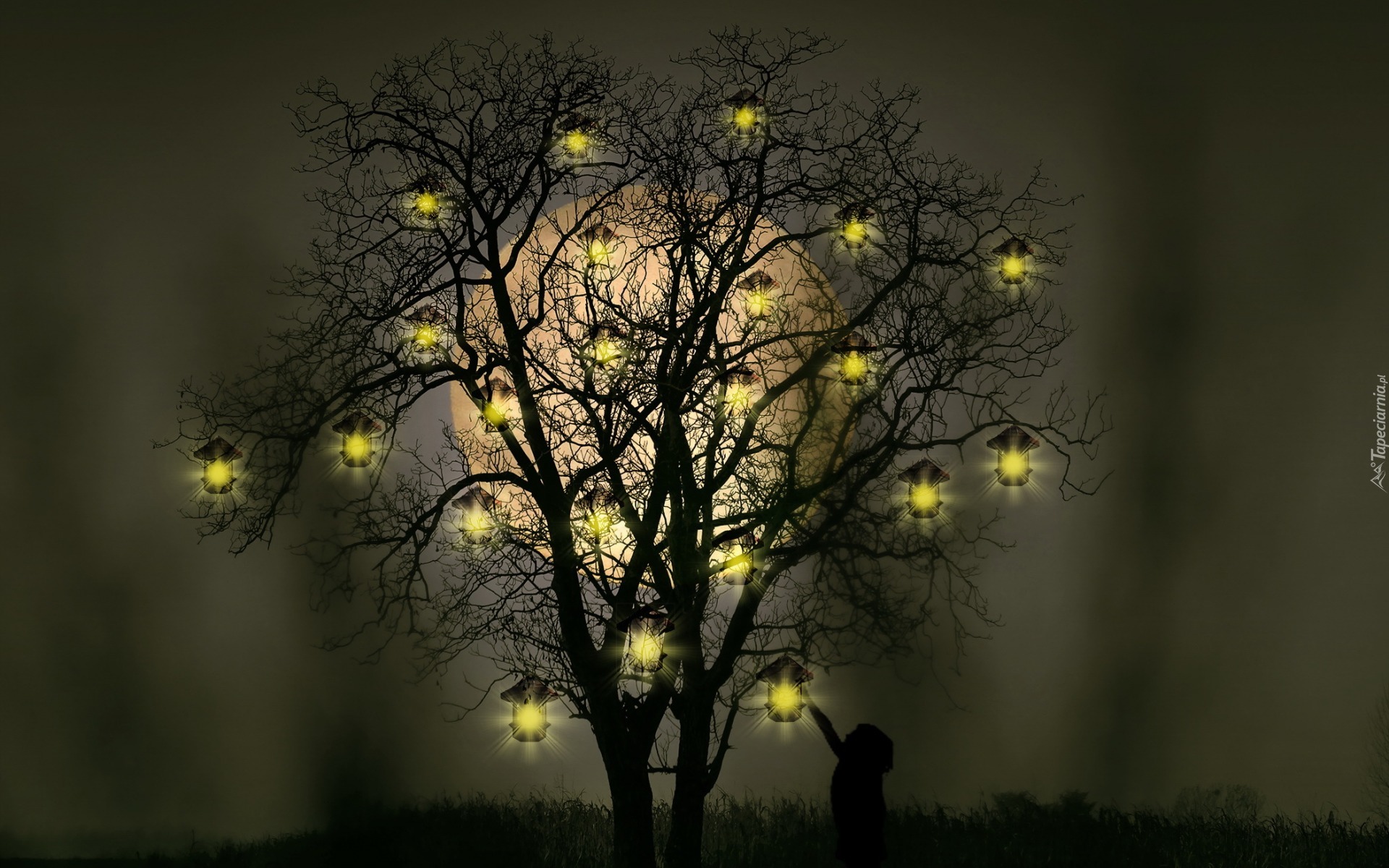 Drzewo, Światełka, Noc, Księżyc,  Fantasy
