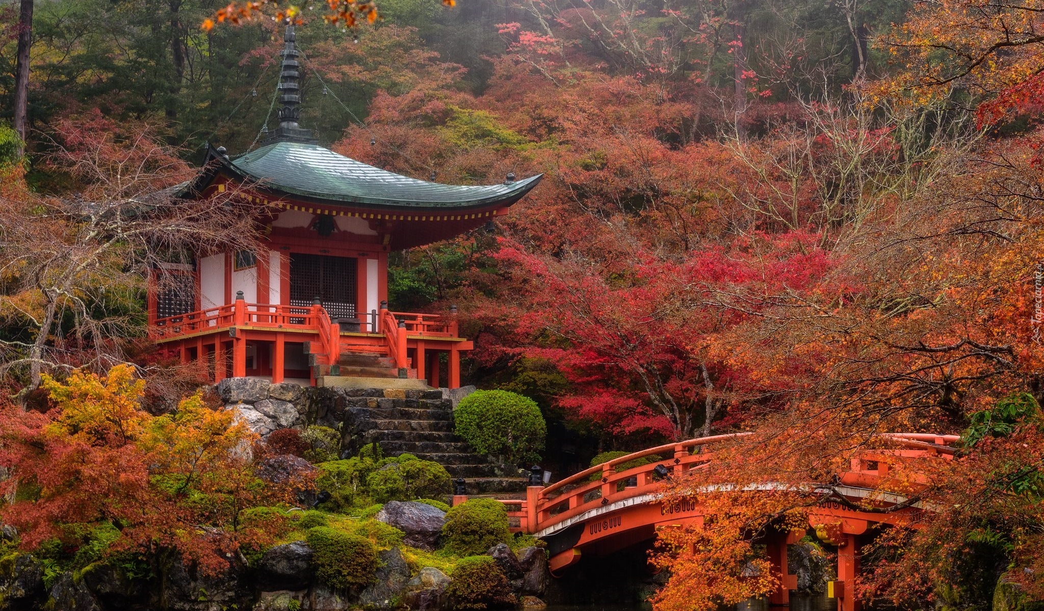 Japonia, Kioto, Kompleks świątynny Daigo-ji, Świątynia Benten-dō, Mostek, Staw, Jesień, Drzewa