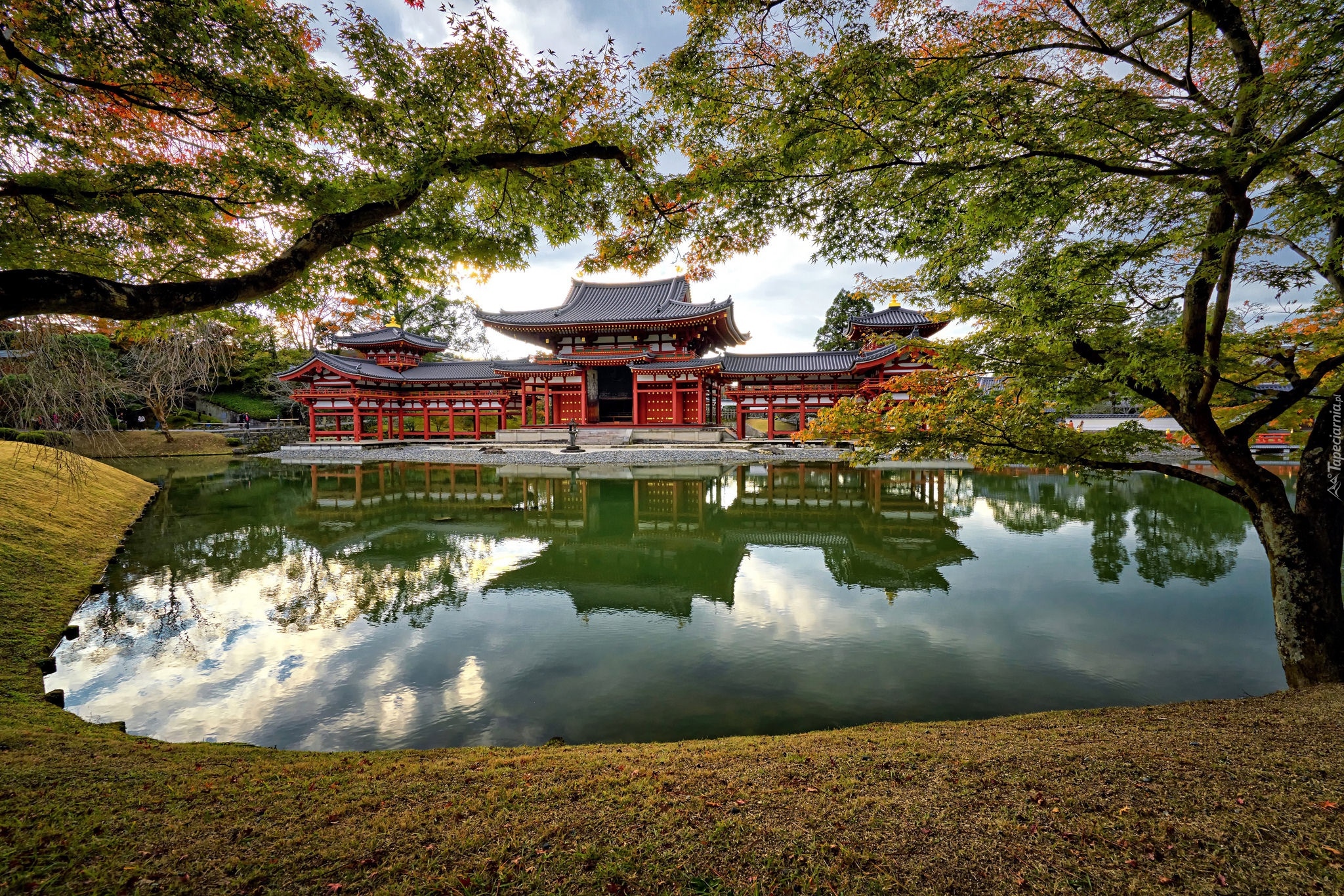 Buddyjska, Świątynia Byodo-in, Pawilon Feniksa, Staw, Drzewa, Miasto Uji, Japonia