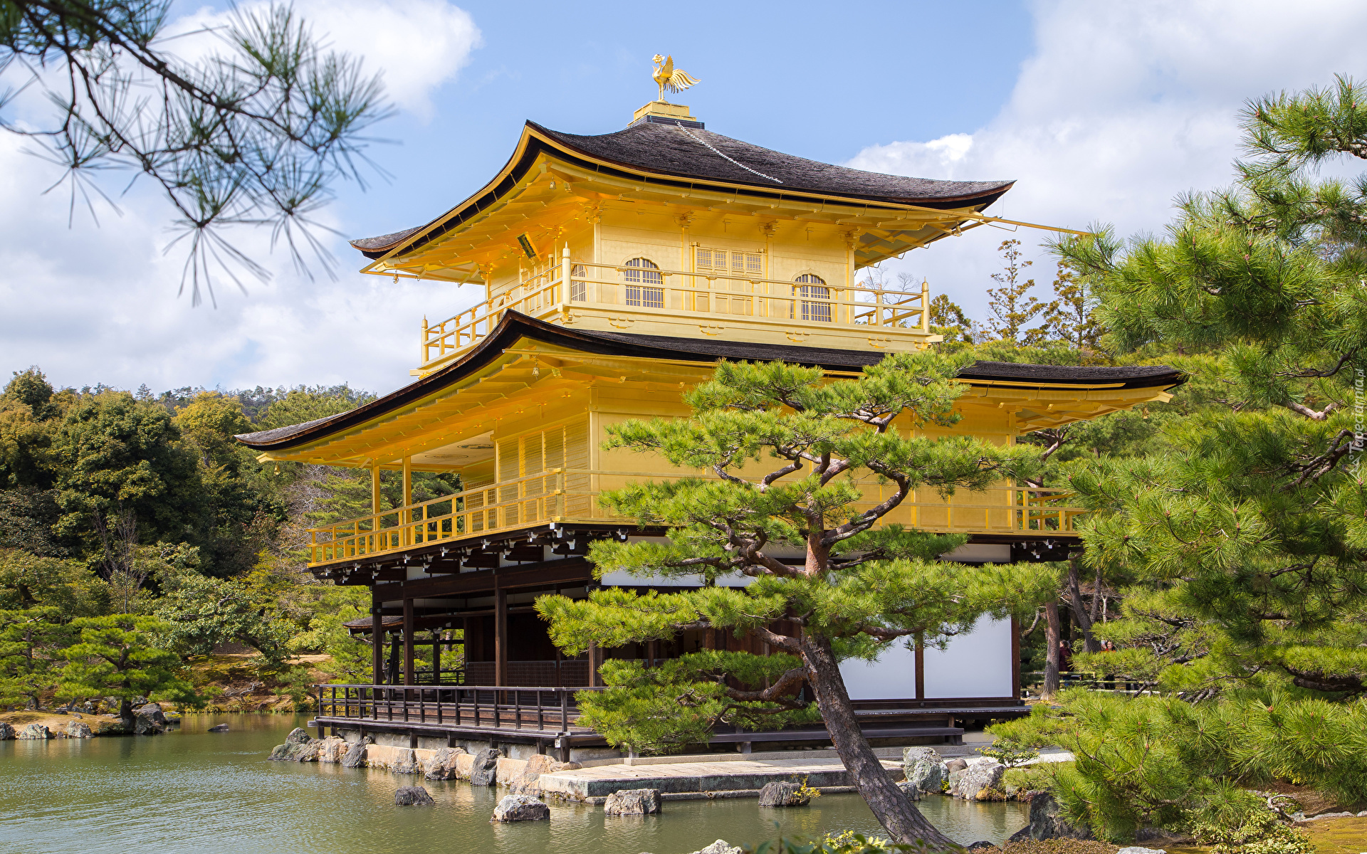 Świątynia, Kinkaku-ji, Złoty Pawilon, Staw, Kyko chi, Drzewa, Kioto, Japonia