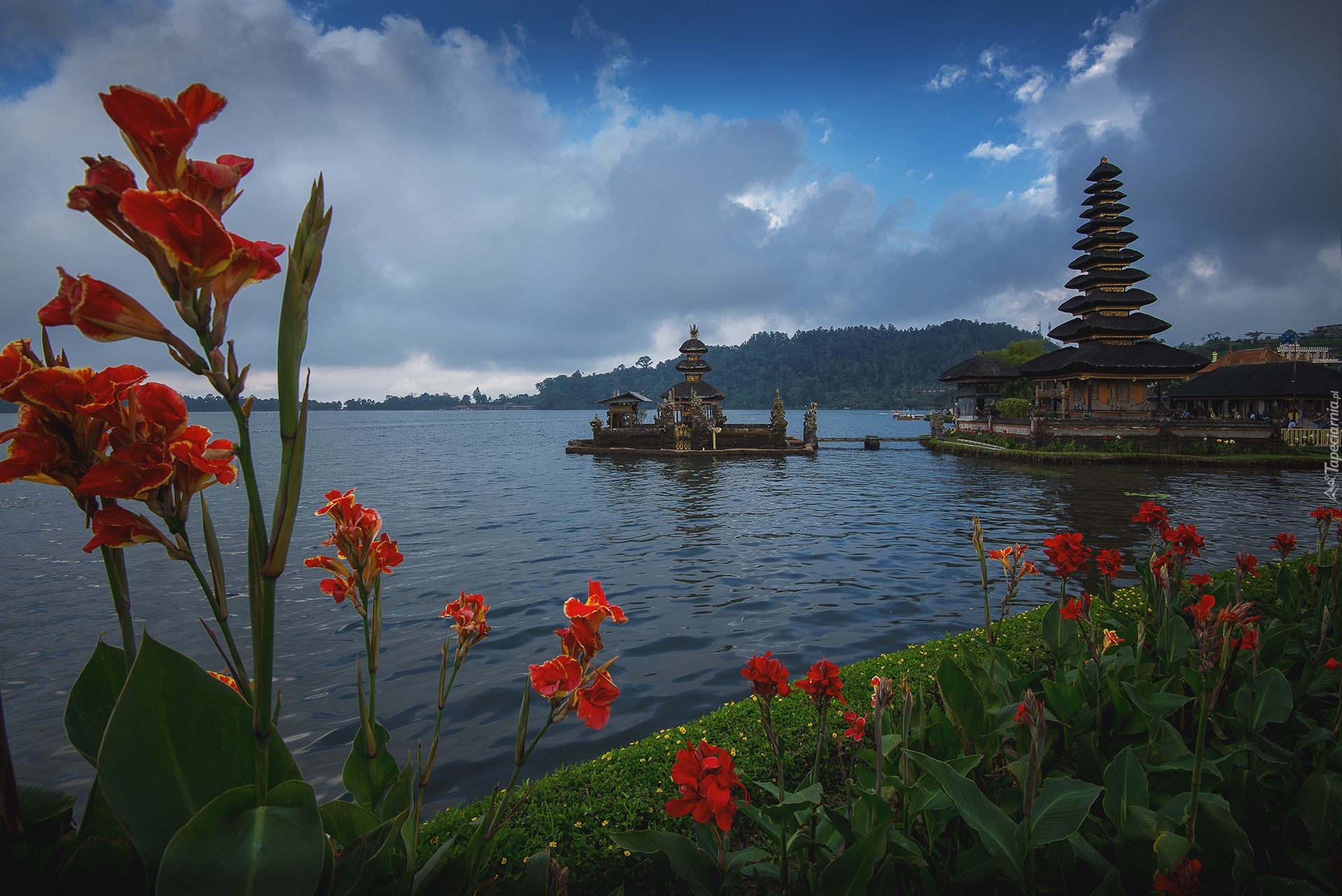 Świątynia, Pura Ulun Danu Beratan, Jezioro Bratan, Czerwone, Kwiaty, Wyspa Bali, Indonezja