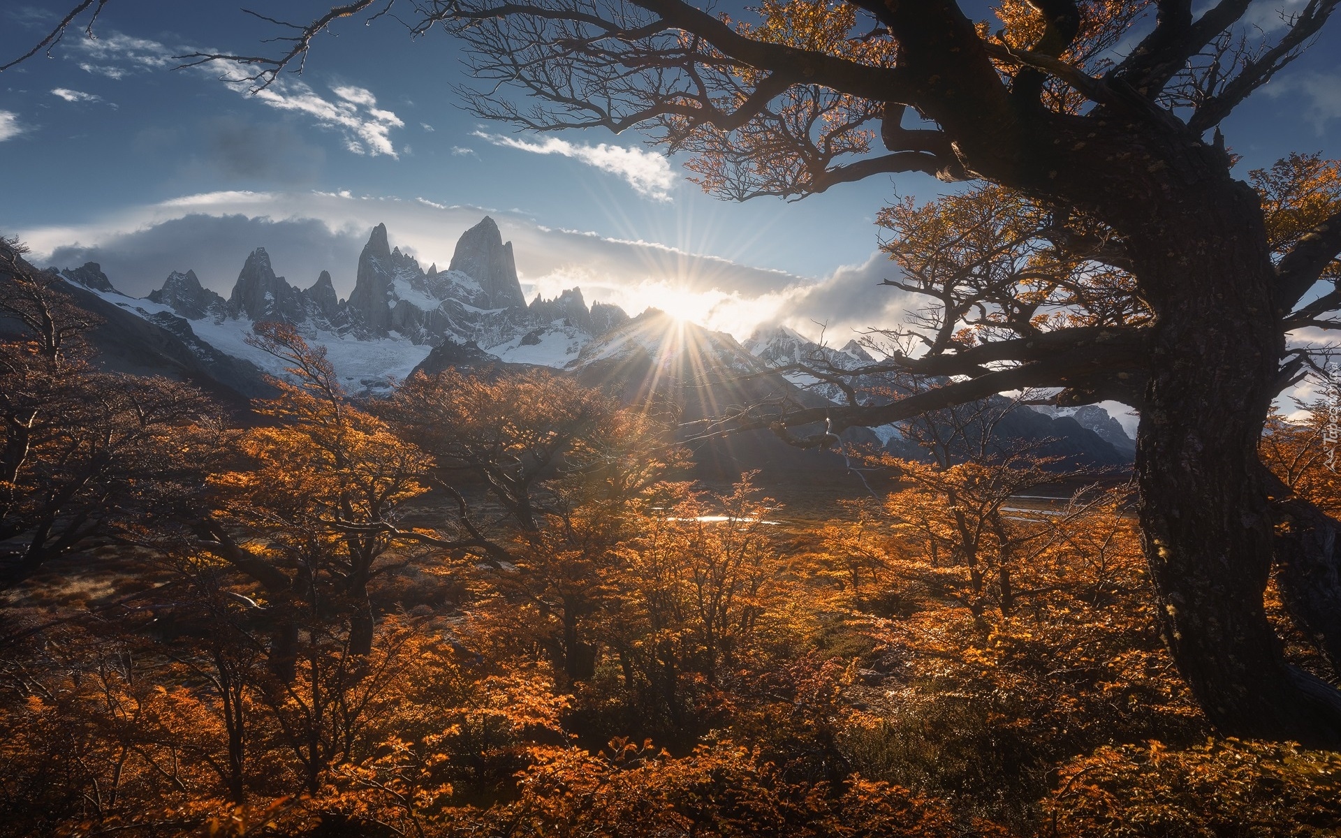Argentyna, Patagonia, Góry, Szczyt, Fitz Roy, Drzewa, Krzewy, Jesień, Promienie słońca, Chmury