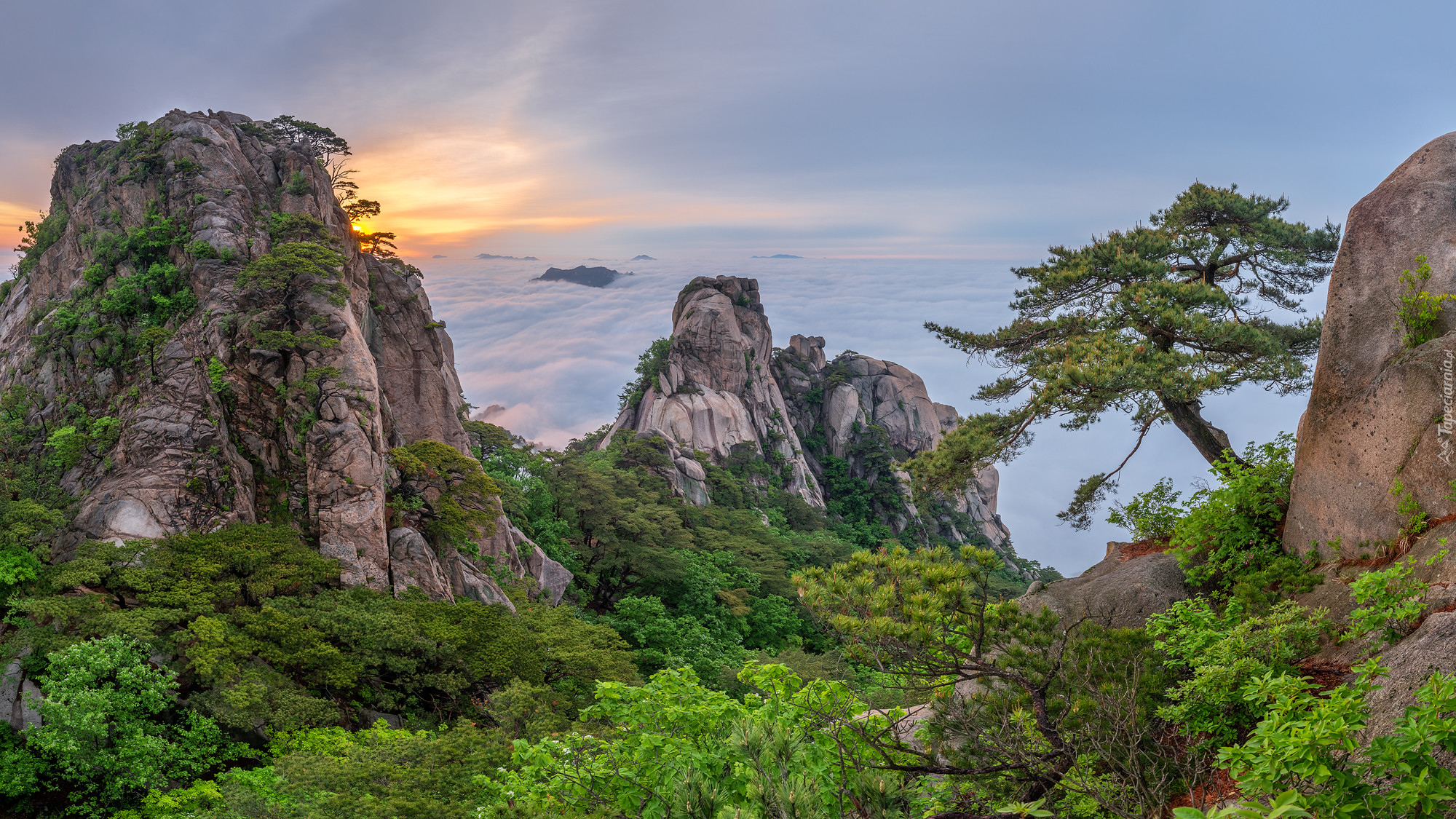 Korea Południowa, Szczyty, Góry, Dobongsan, Skały, Drzewa, Park Narodowy Bukhansan